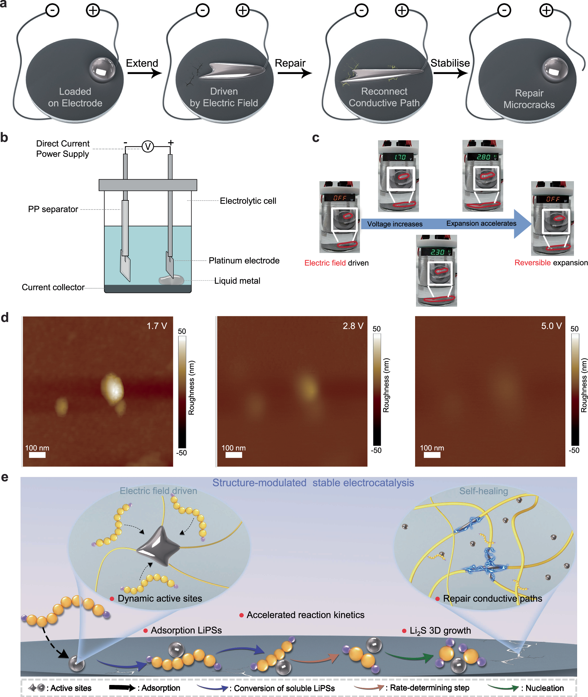 Fig. 6: Electric field driven characteristics and self-healing ability of GSCC.