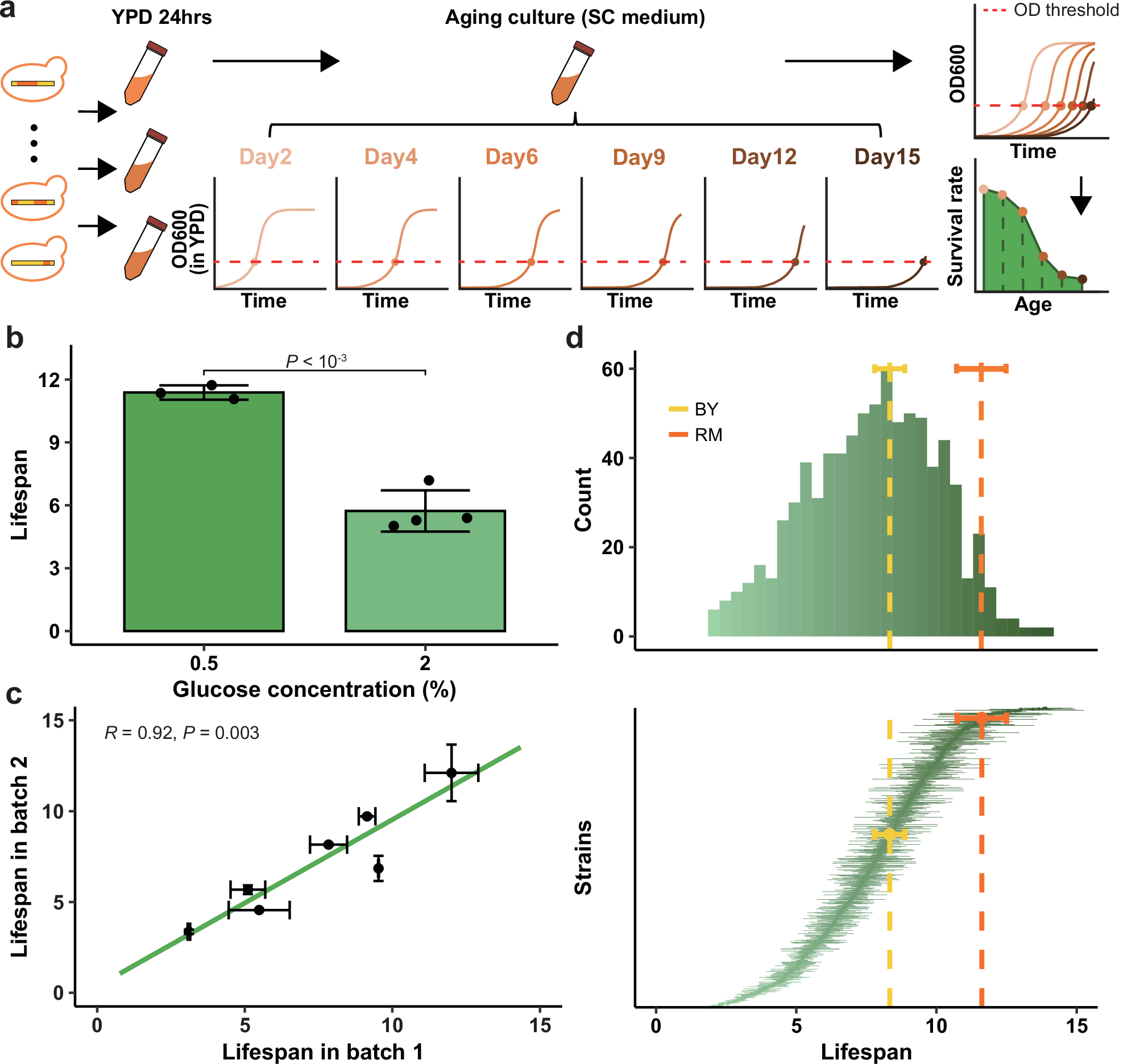 Fig. 2: Experimental assessment of chronological lifespan.