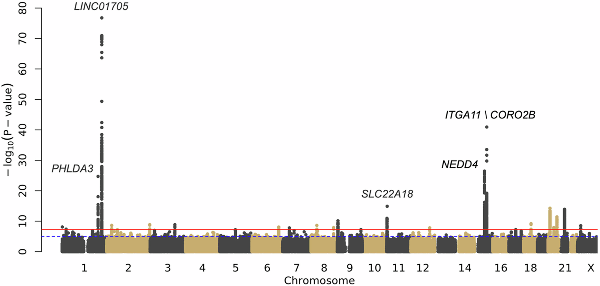 Fig. 2: Multi-ancestry meta-analysis of keloids replicates known genes and identifies previously unidentified keloids genomic risk loci.