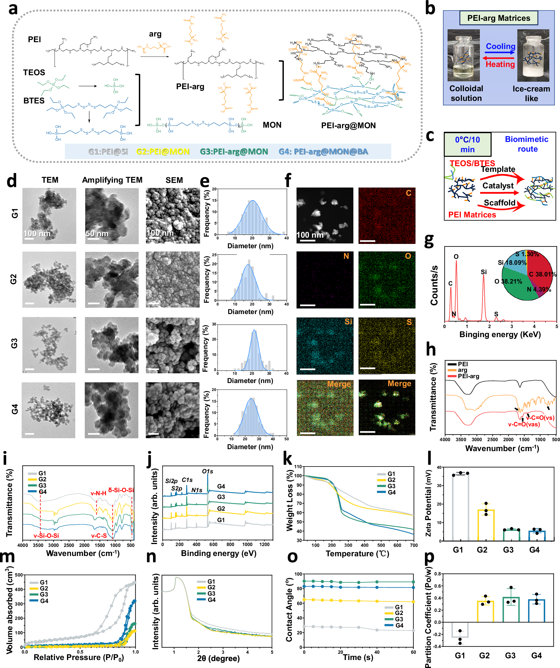Fig. 3: The formation and structure of NMSs.