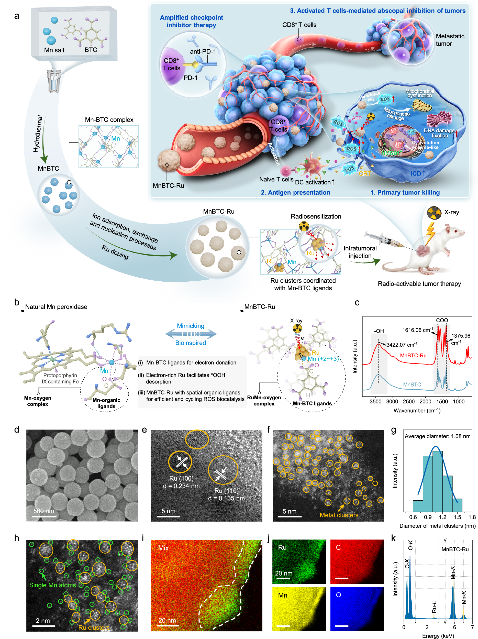 Bioinspired ruthenium-manganese-oxygen complex for biocatalytic and  radiosensitization therapies to eradicate primary and metastatic tumors |  Nature Communications