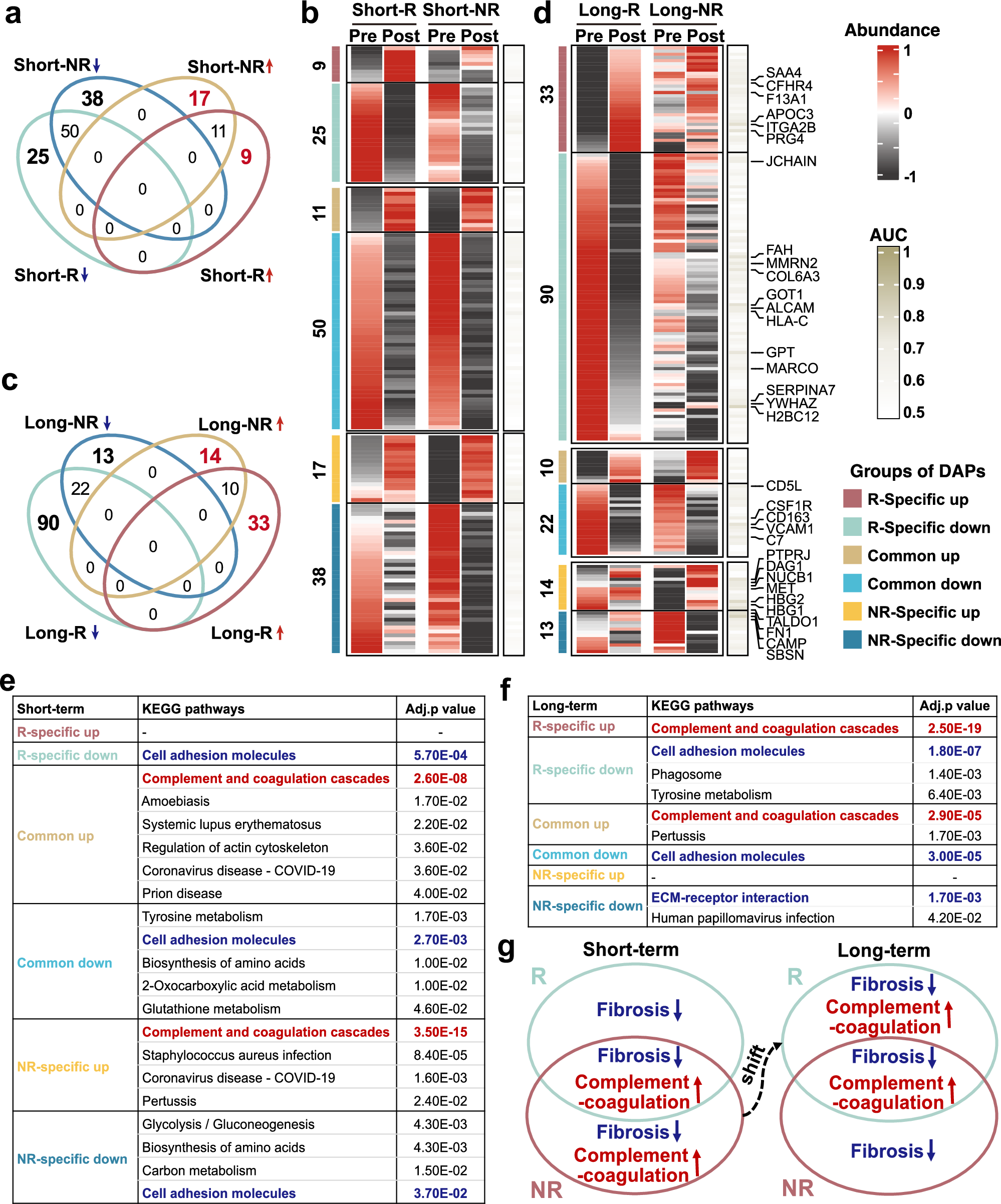 Fig. 3: Abundance and functional alterations of serological proteomes in fibrosis regressors and non-regressors receiving AVT.