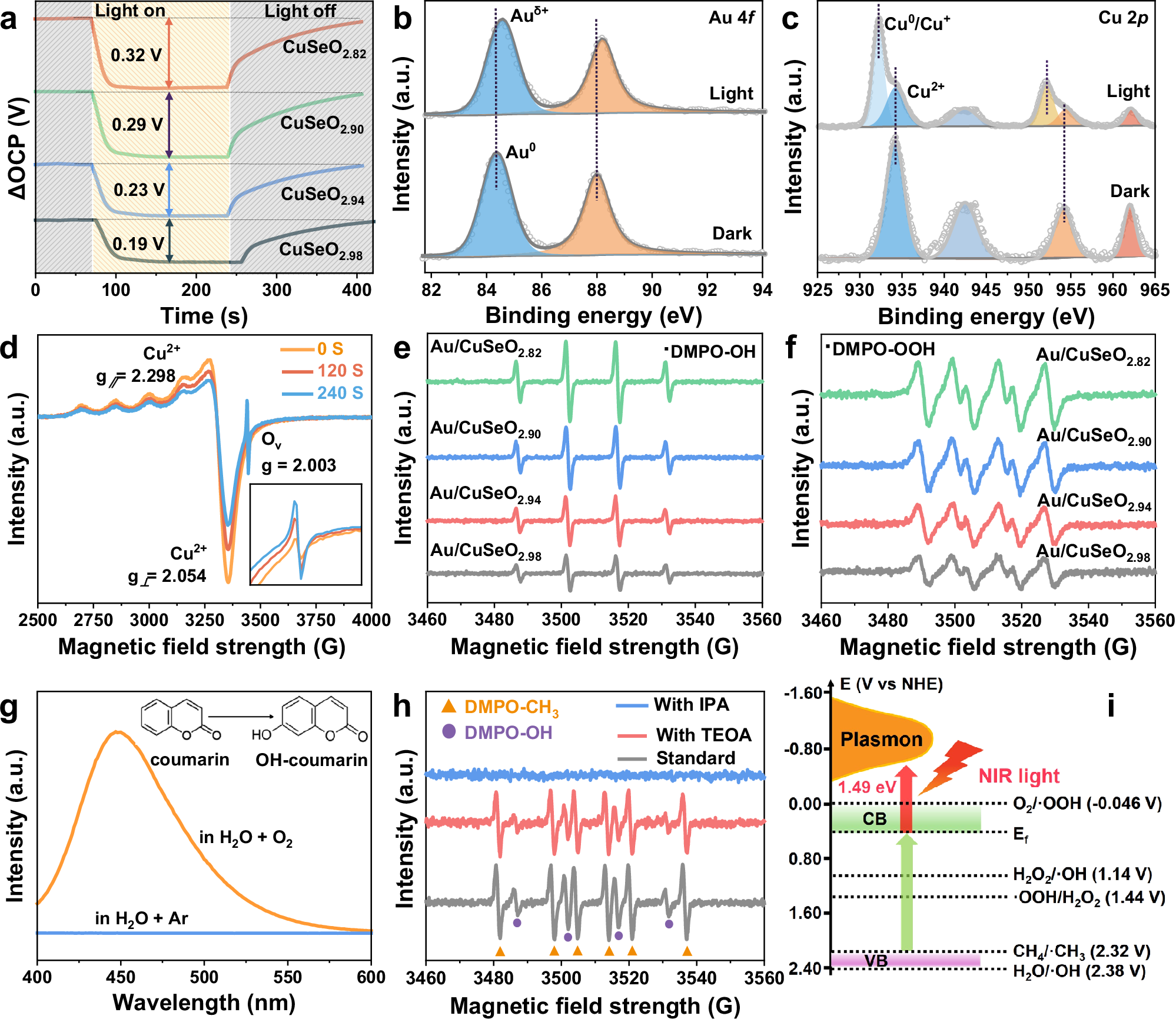 Fig. 4: Identification of the active sites and reactive species.