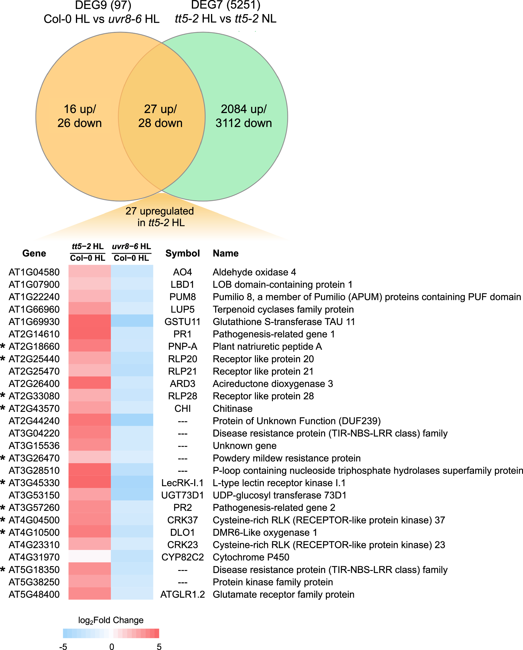 Fig. 6: Identification of UVR8-dependent genes positively affected by the accumulation of naringenin chalcone (NGC) derivatives.