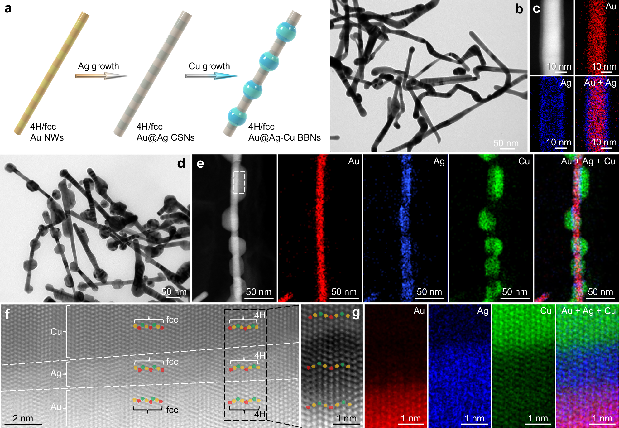 Fig. 7: Extended synthesis of 4H/fcc Au@Ag–Cu BBNs.