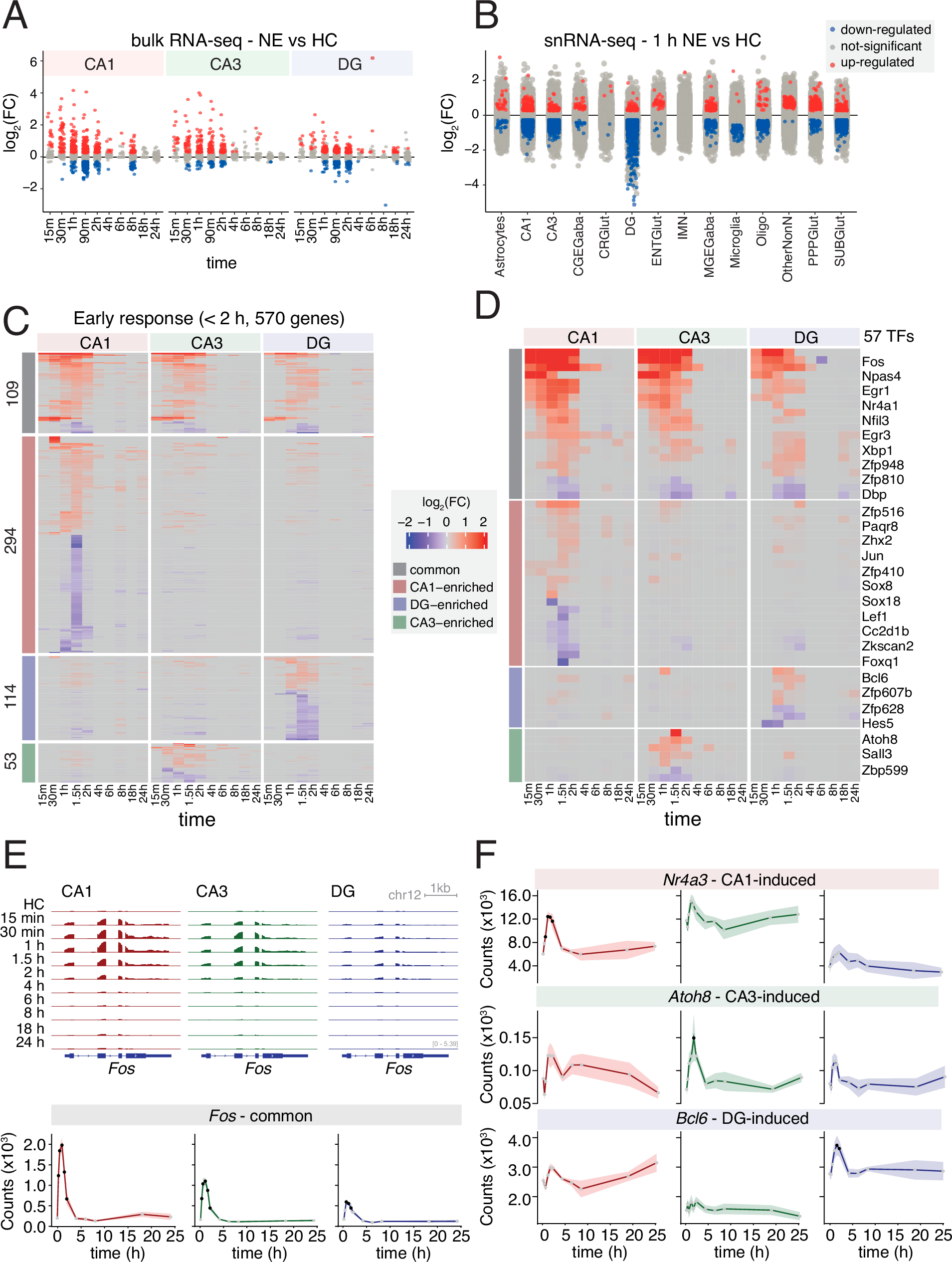 Fig. 3: NE-driven gene expression changes.