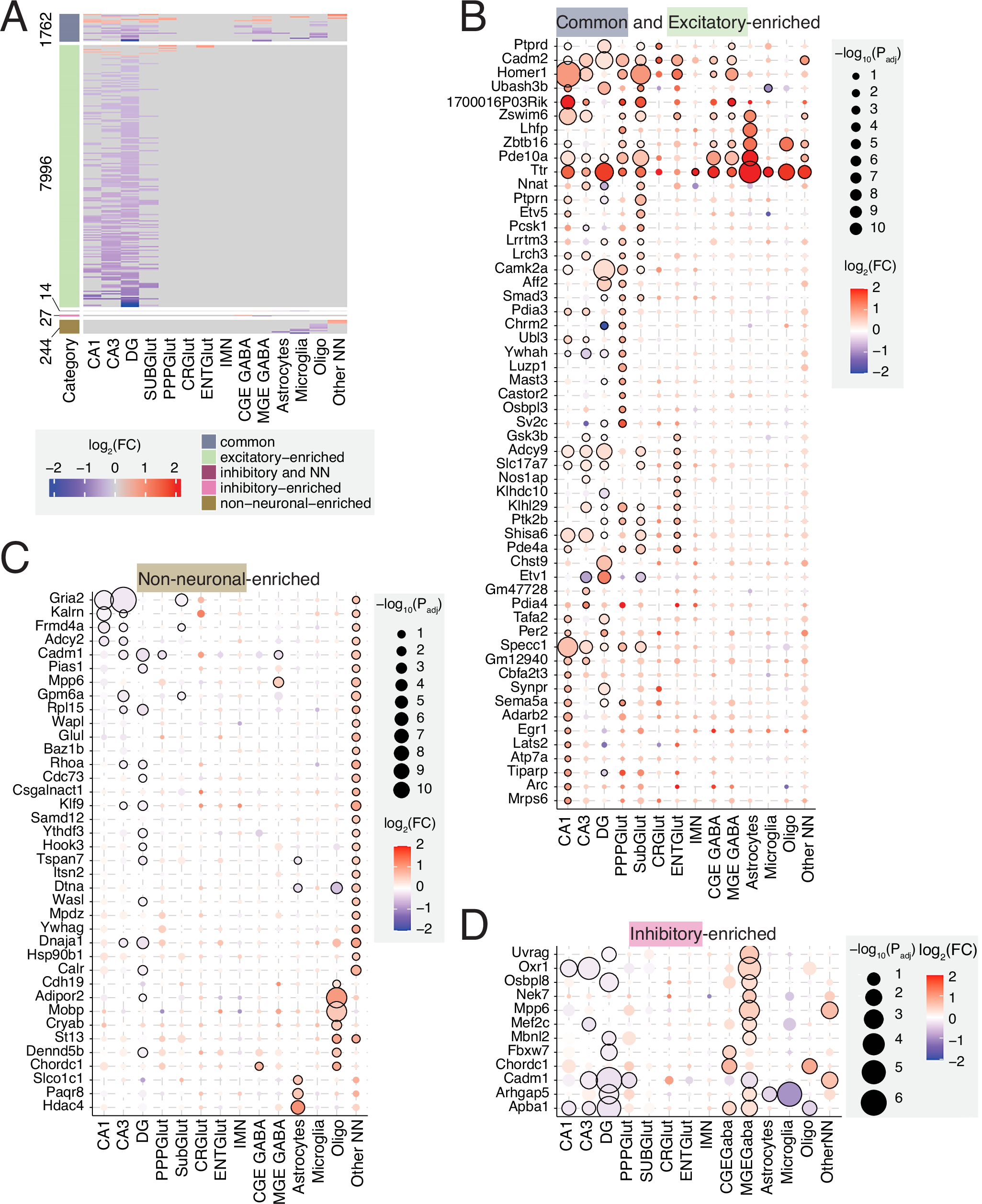 Fig. 5: Cell-type-specific NE-induced gene expression programs.