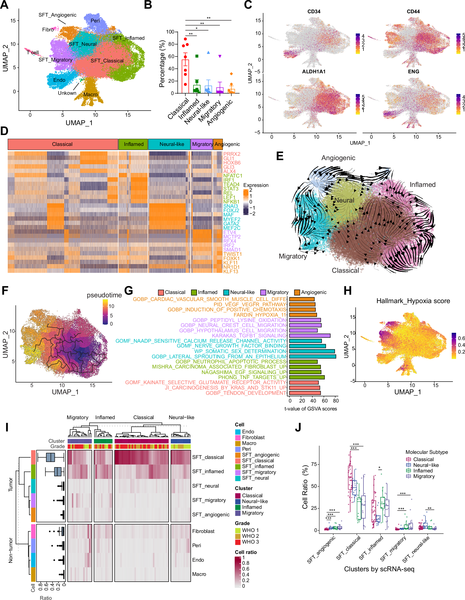Fig. 3: Cellular states of CNS SFTs by snRNA-seq.