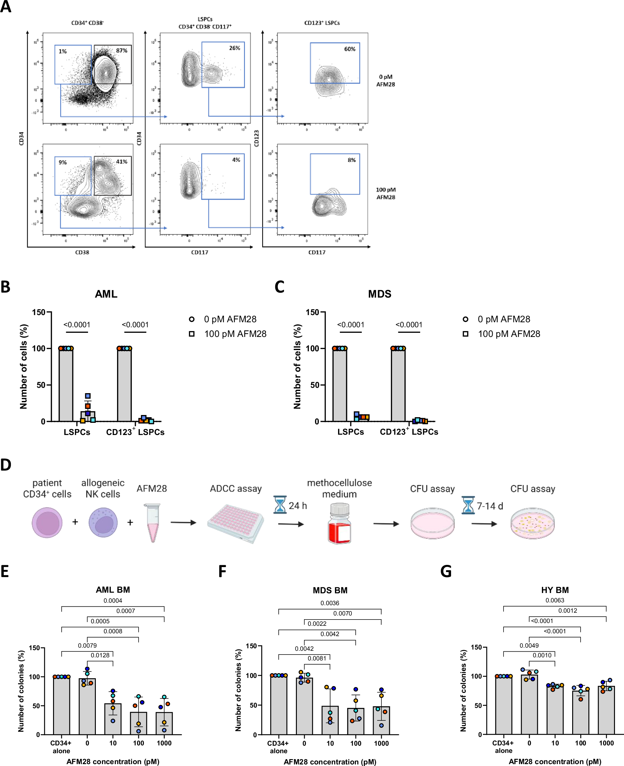 Fig. 3: AFM28 induces potent lysis of CD123+ LSPCs in AML and HR-MDS patient samples and spares healthy hematopoiesis.