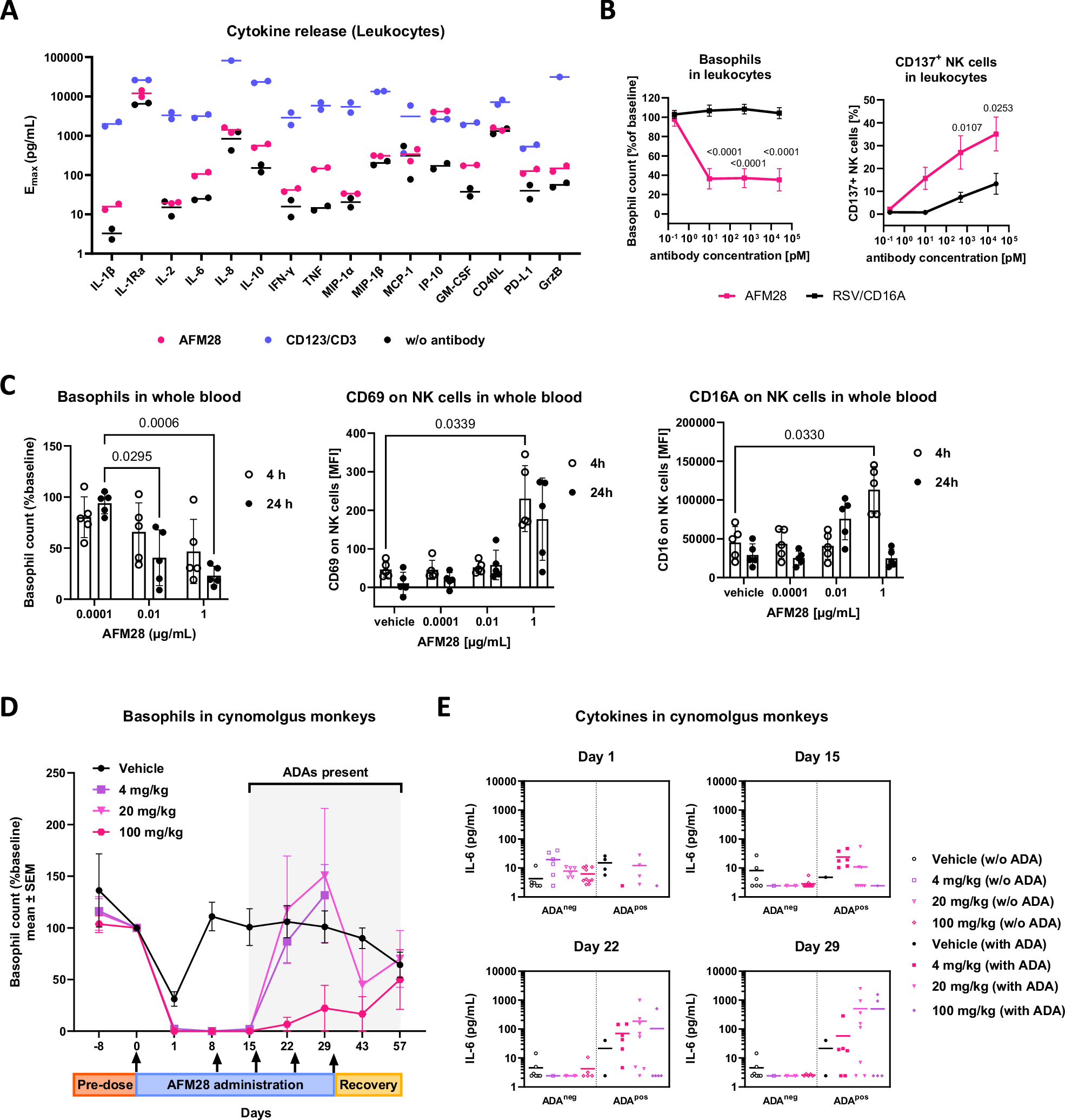 Fig. 7: AFM28 induces basophil depletion and shows a lower cytokine release than a T cell-engager.