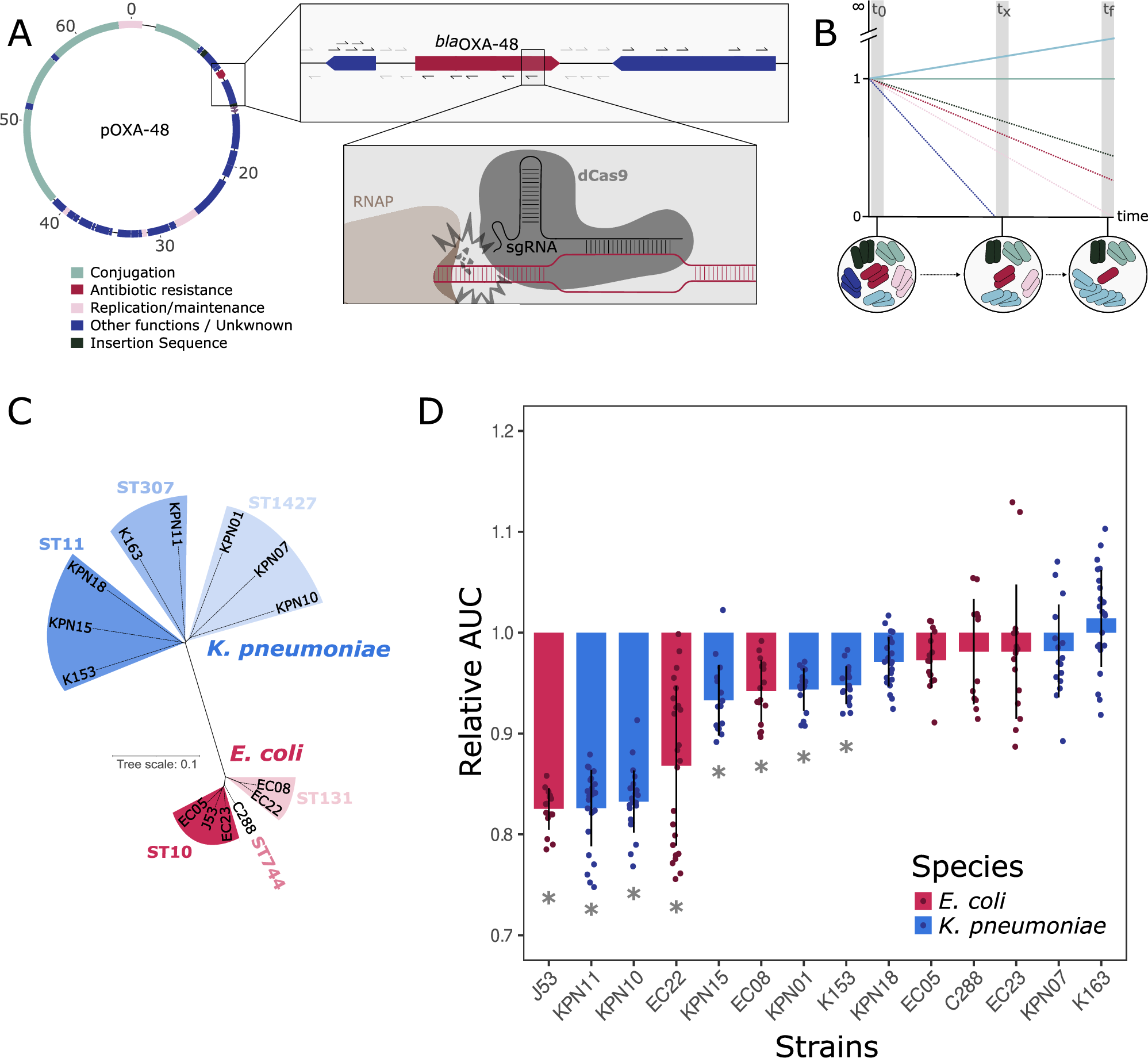 Dissecting pOXA-48 fitness effects in clinical Enterobacterales using  plasmid-wide CRISPRi screens | Nature Communications