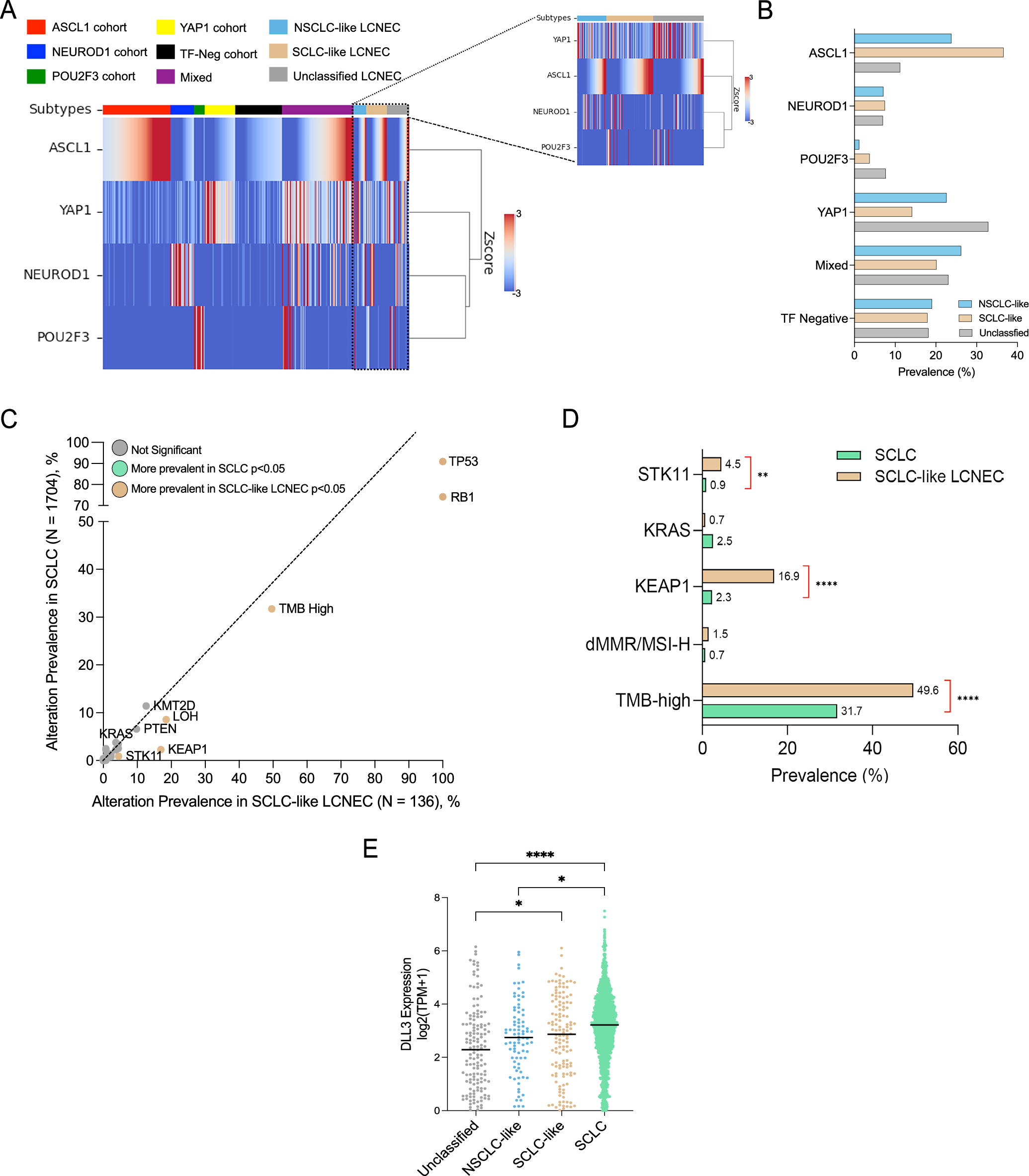 Fig. 4: Comparative analysis of transcriptional subtypes, genomic alterations, and FDA-approved ICI biomarkers in SCLC and LCNEC molecular subtypes.