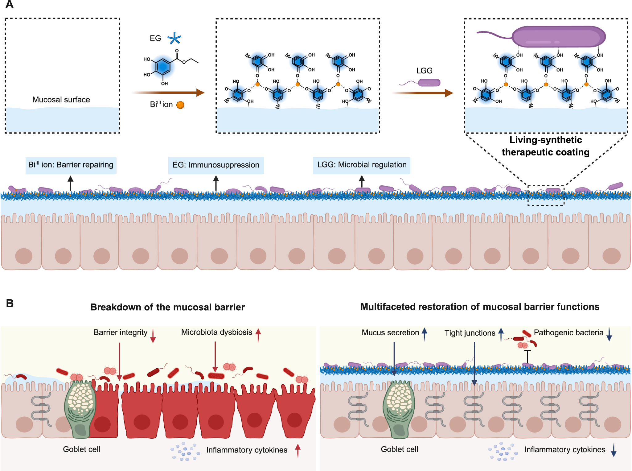 Fig. 1: Schematic illustration.