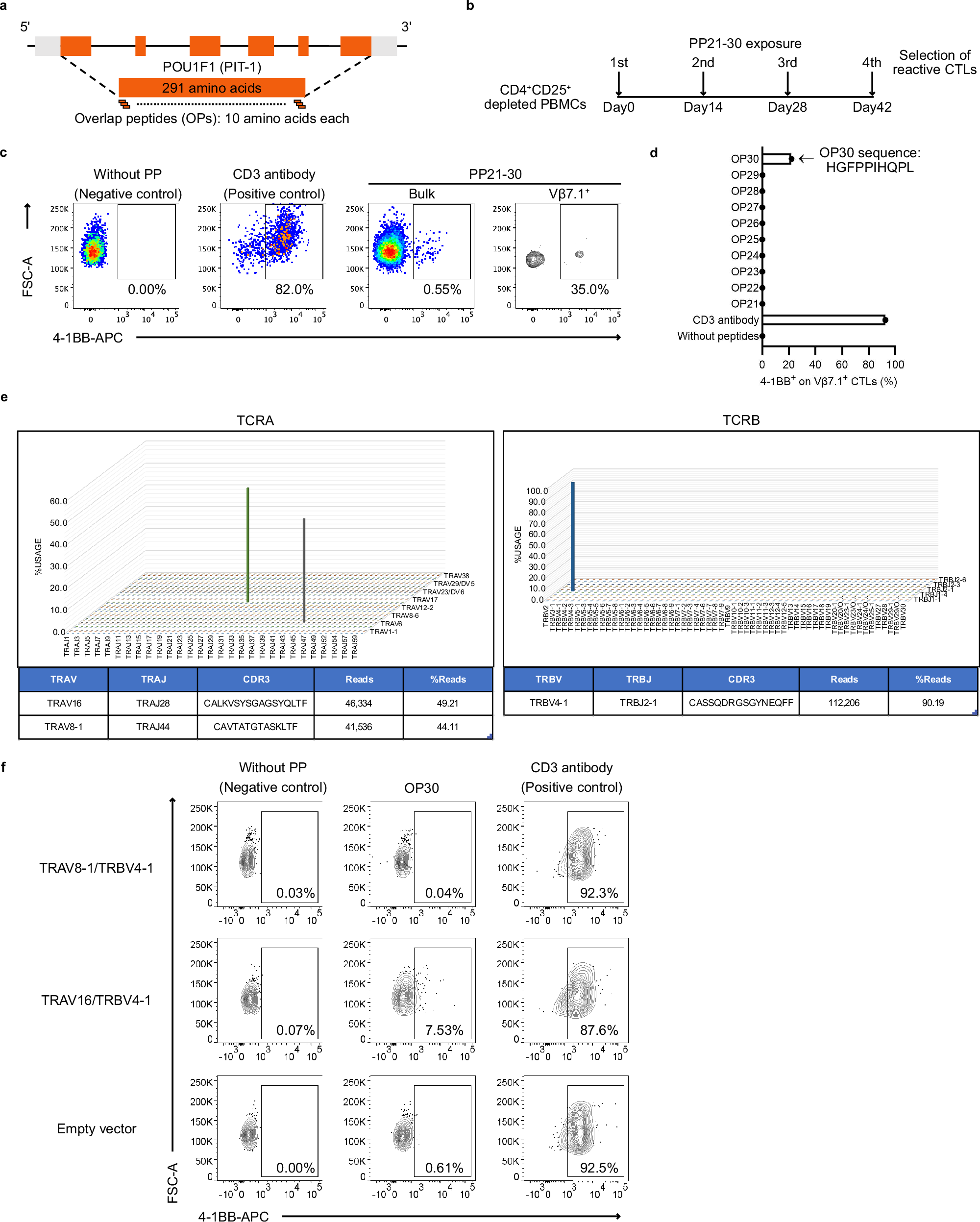 Fig. 1: Cloning of specific cytotoxic T lymphocytes (CTLs) from a patient with anti-PIT-1 hypophysitis (Case 1).