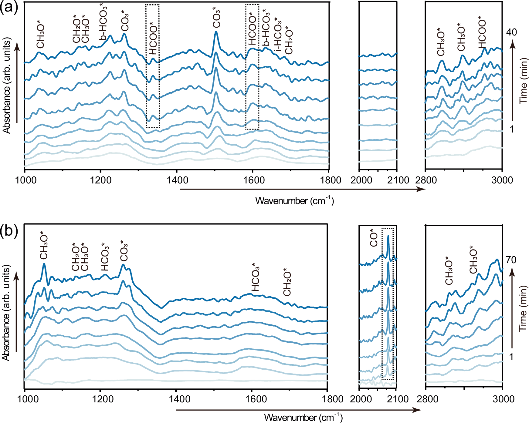 Fig. 4: In-situ DRIFTS spectra of CO2 hydrogenation over Mo-S-Mo/CTF.