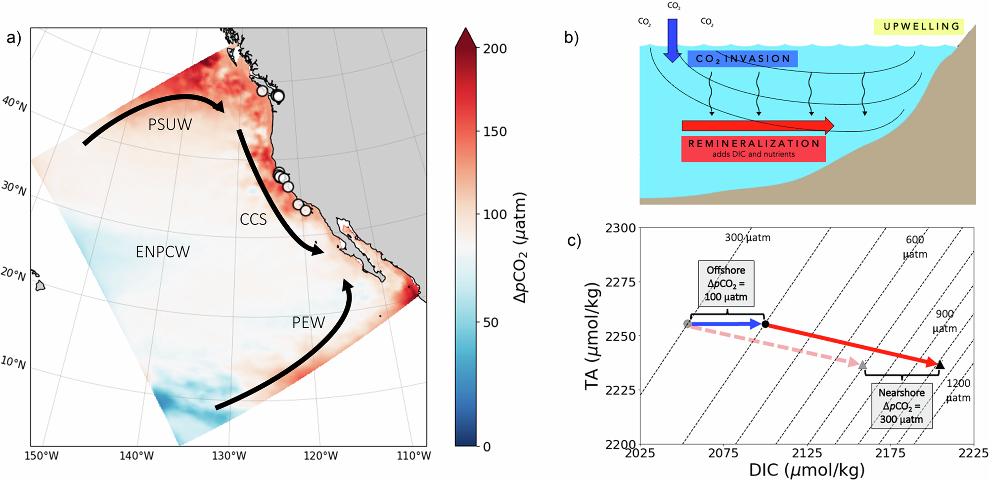二酸化炭素濃度の上昇に伴う酸性化の加速（Carbon-Rich Waters Are Becoming More Acidic as Atmospheric CO2 Levels Rise）
