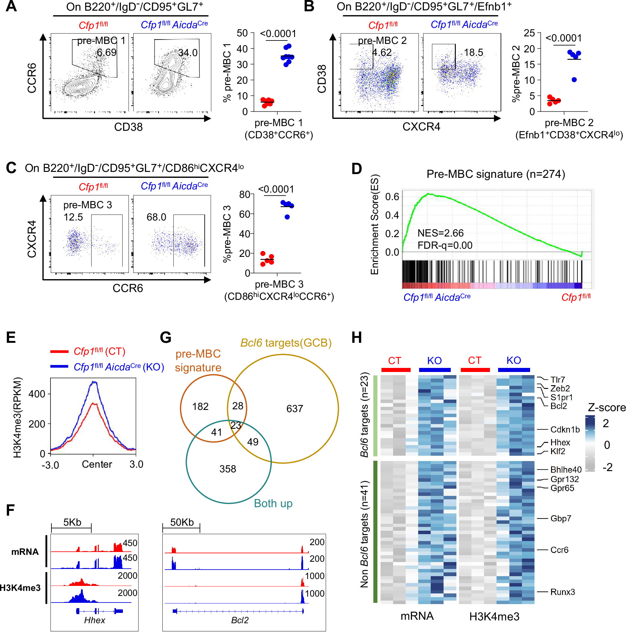 Fig. 7: Cfp1 deletion promotes pre-MBC gene expression.