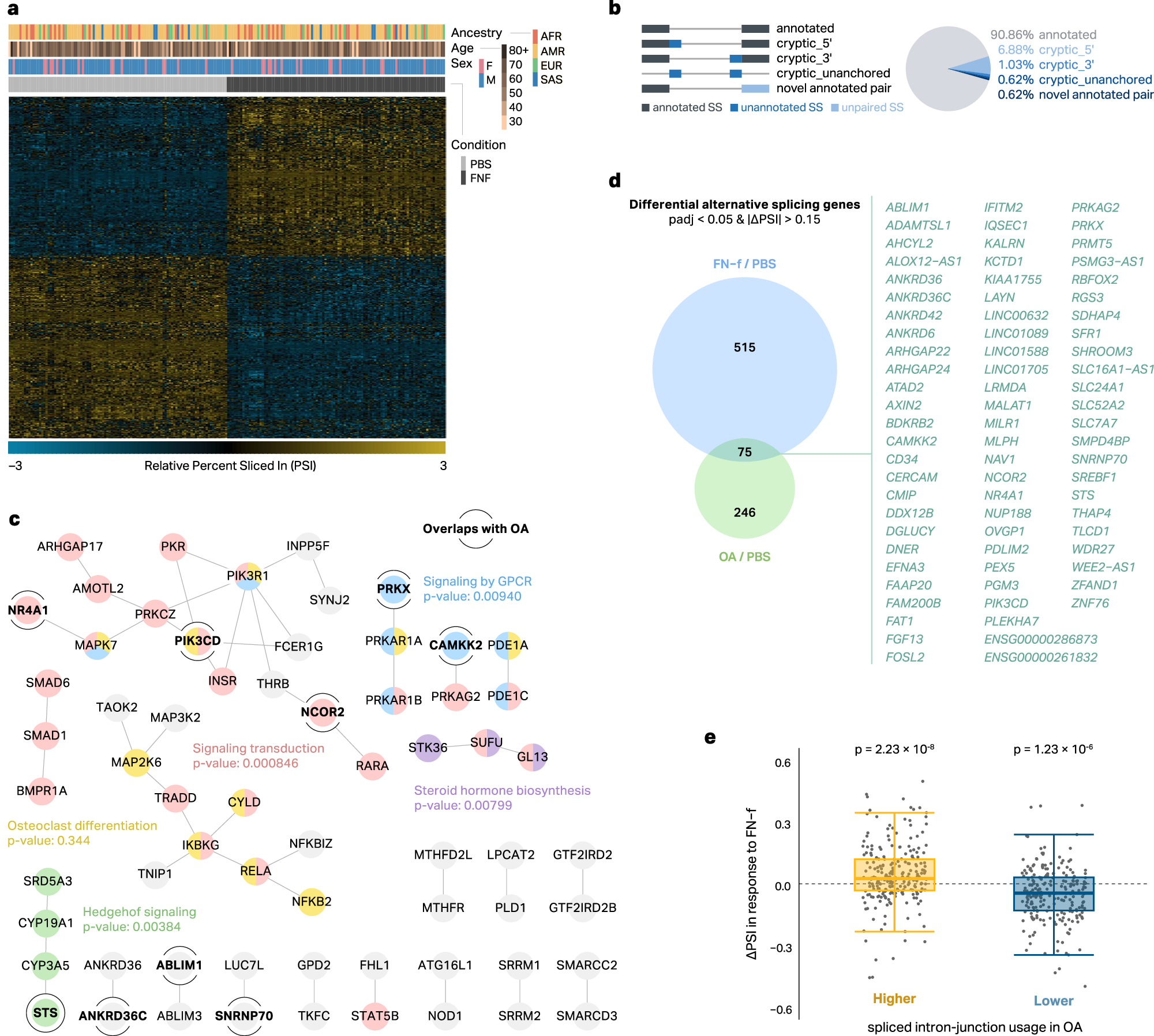 Fig. 1: FN-f induces alternative splicing events in human chondrocytes.