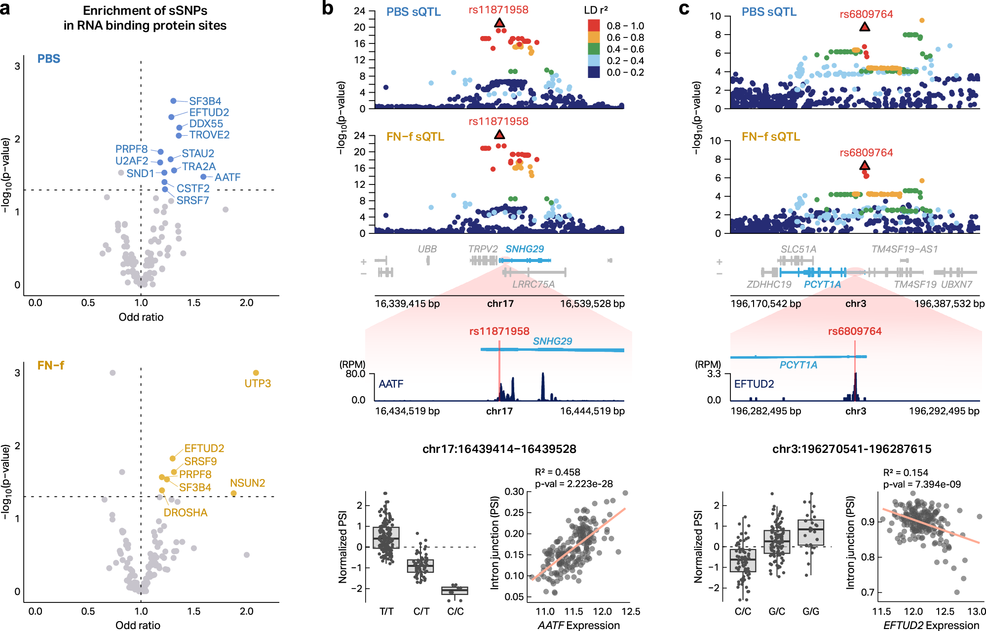 Fig. 4: RNA-Binding protein associations with sQTLs.