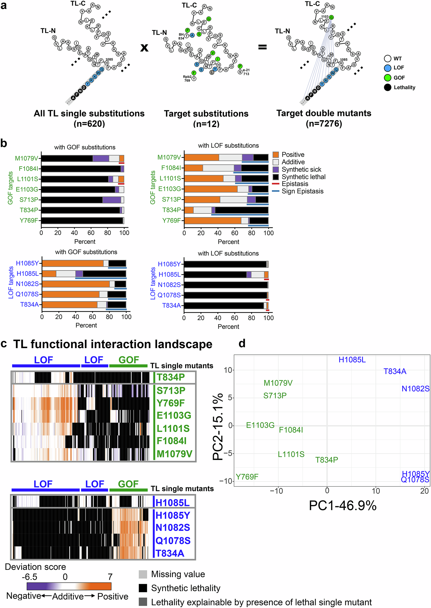 Fig. 4: Pol II TL interaction landscape distinguishes mutants with similar phenotypes.