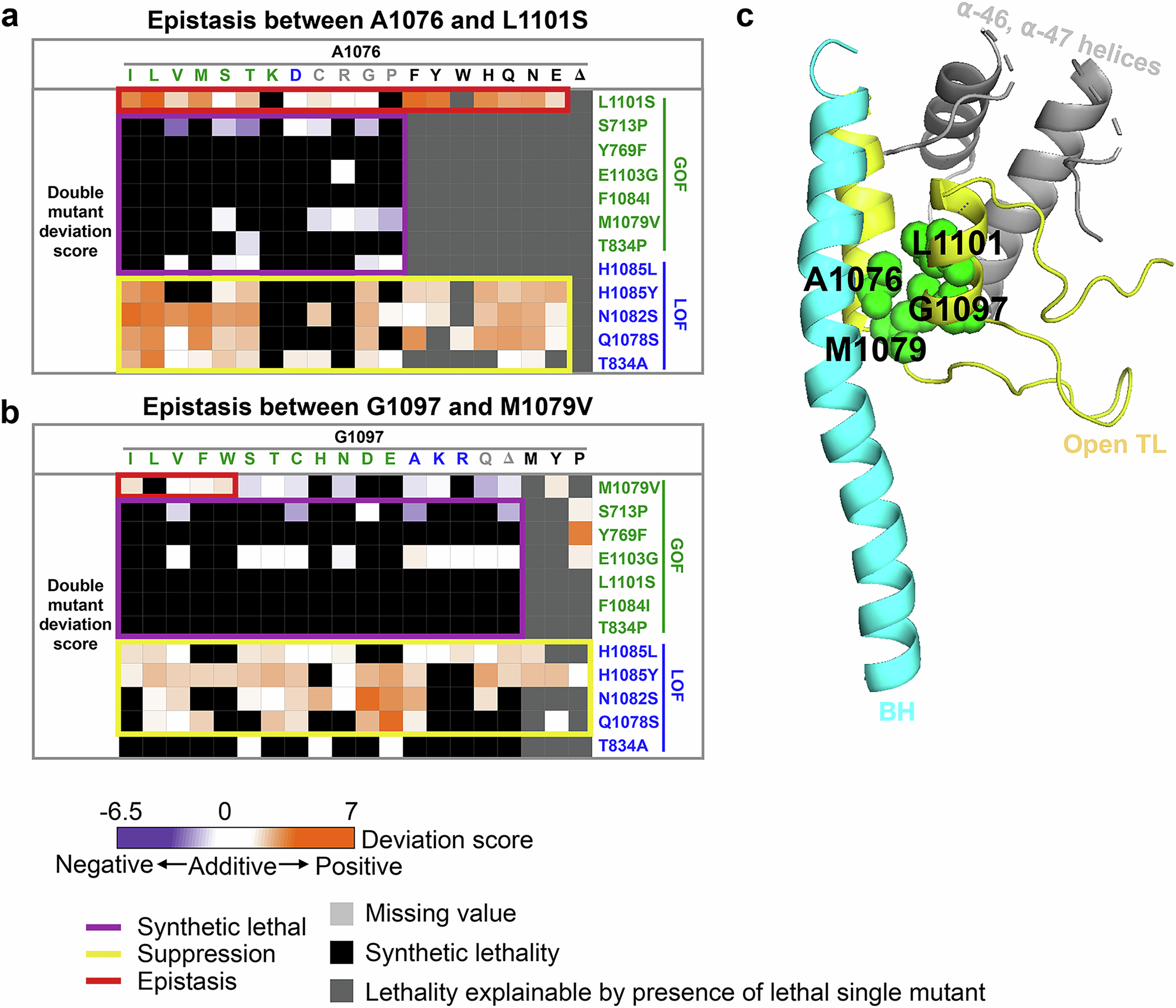 Fig. 6: Pol II TL interaction landscape reveals functional dependency of proximal residues.