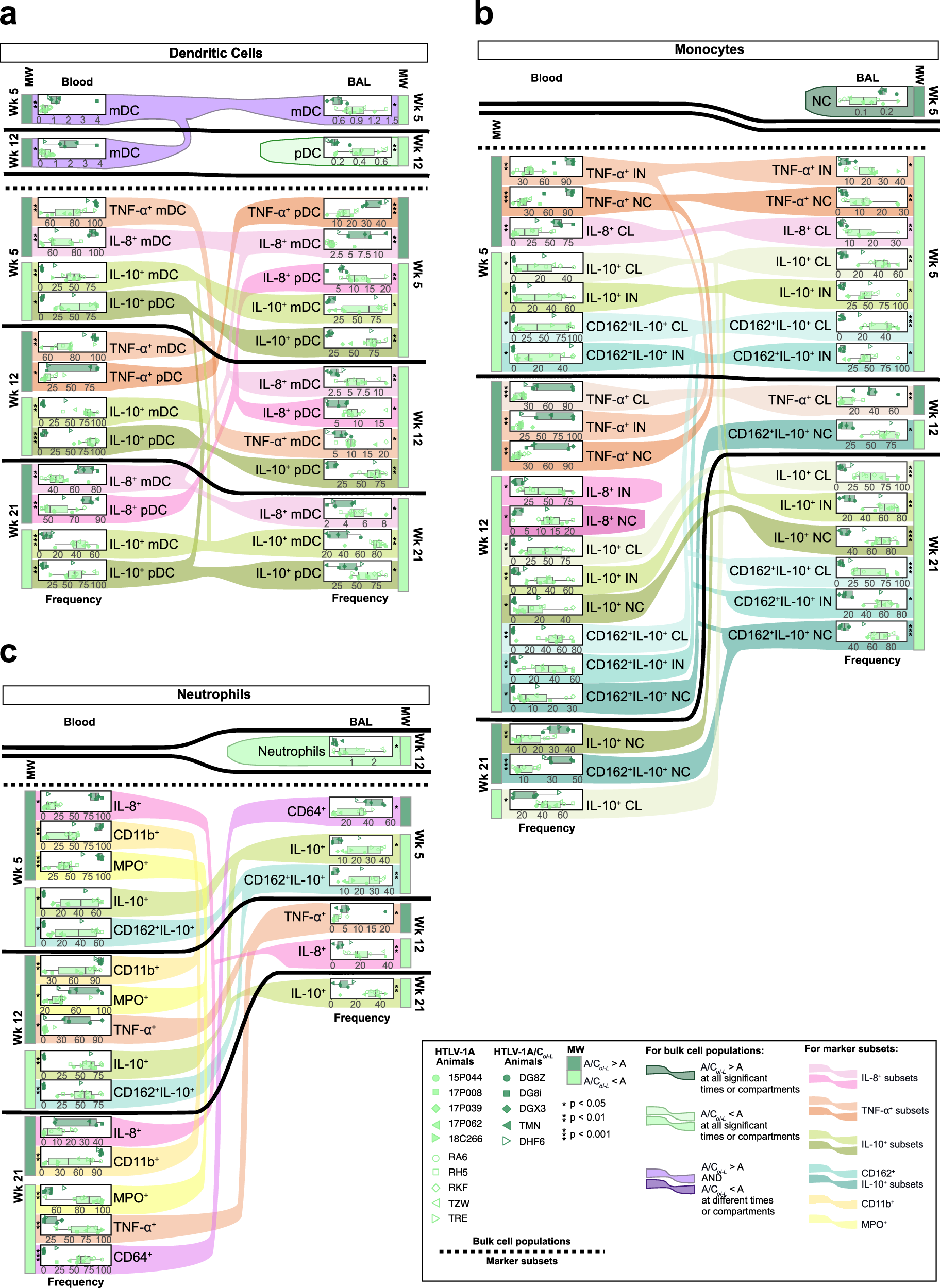 Fig. 3: Neutrophil, monocyte, and dendritic cell dynamics in blood and BAL of HTLV-1A and HTLV-1A/CoI-L infected macaques.