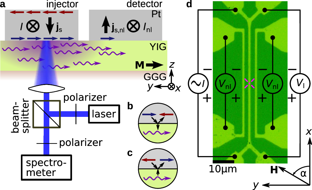 Fig. 1: Schematic of the experiment.