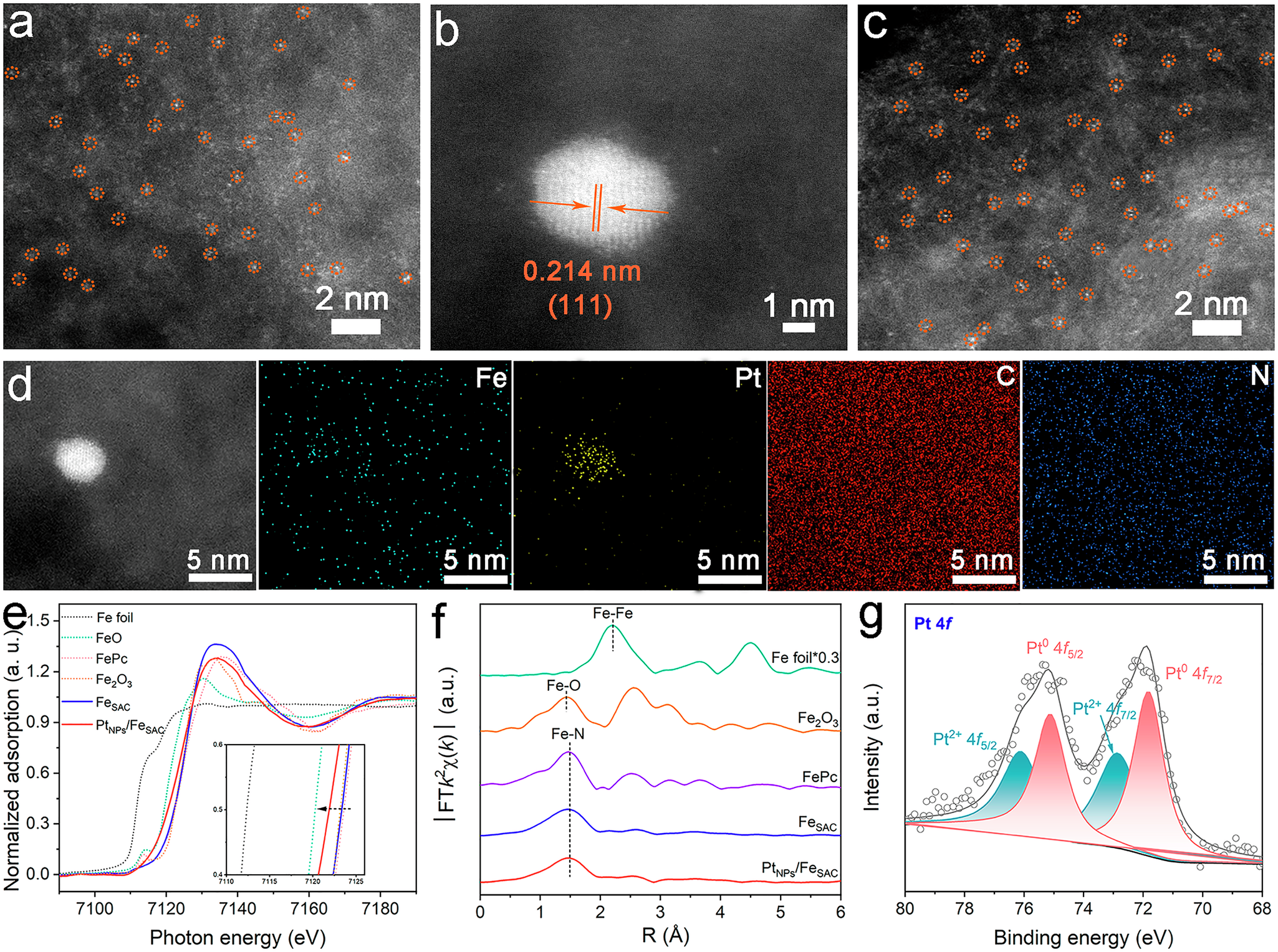 Fig. 3: Structural characterizations of catalysts.
