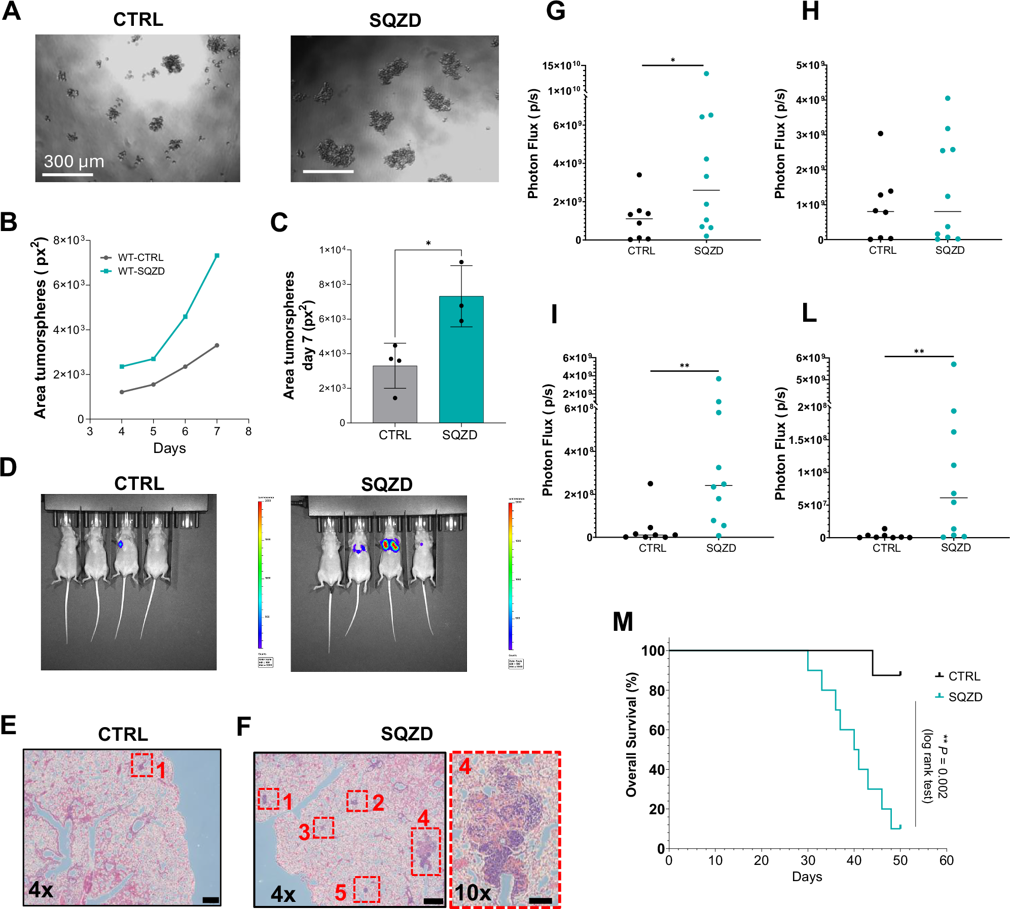 Fig. 3: Microcapillary-like constrictions enhance melanoma cell tumorigenicity.
