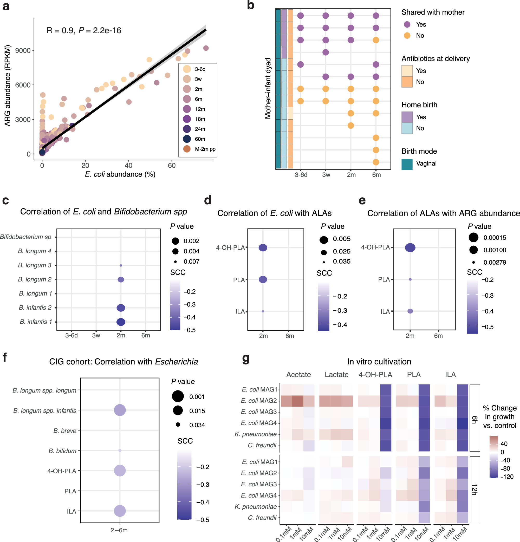 Fig. 4: E. coli abundance is a driver of total ARG abundance, but growth can be inhibited by aromatic lactic acids.