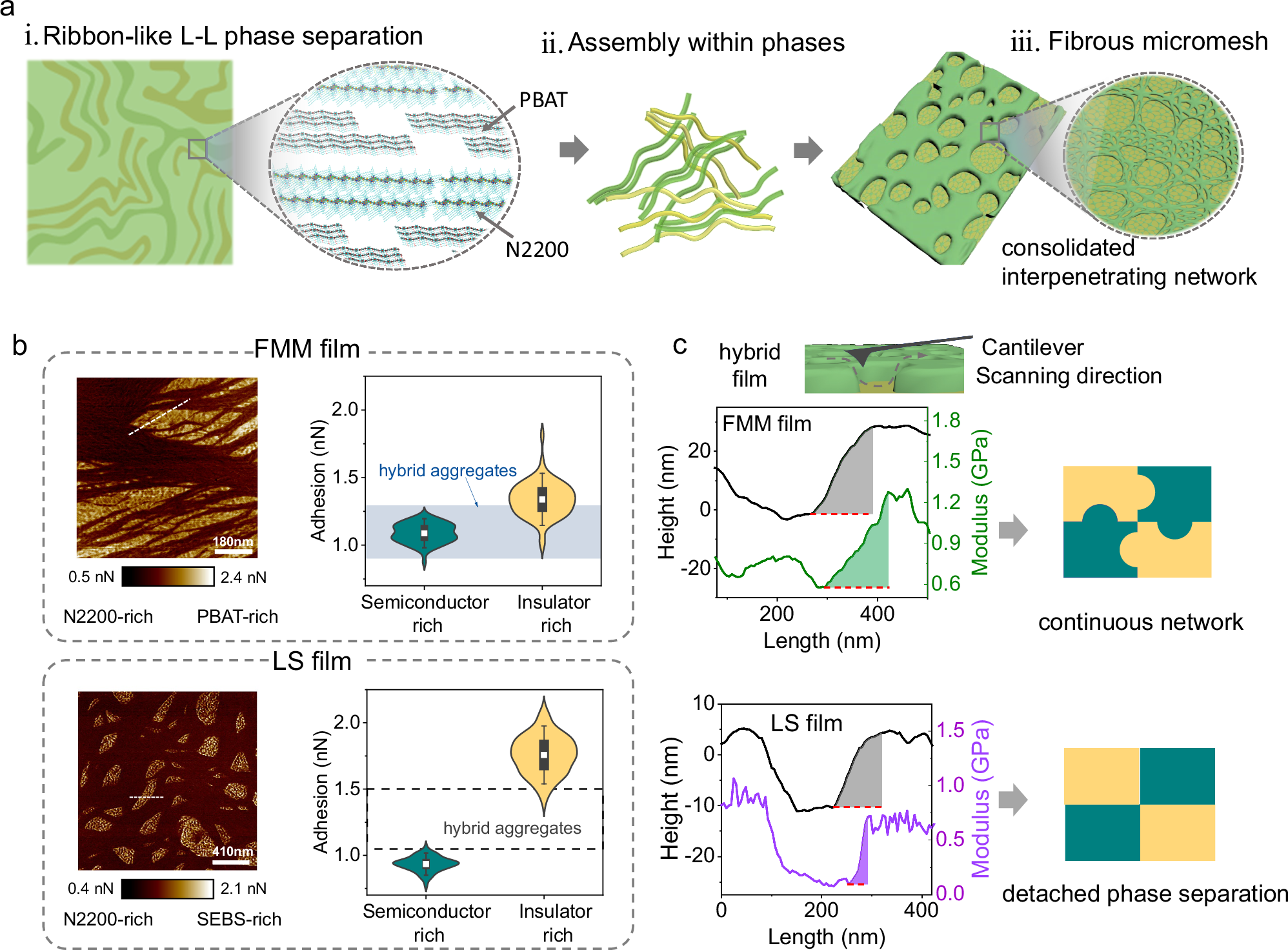 Fig. 2: Interpenetrating network in the fibrous micromesh via Van der Waals force tuning phase separation.
