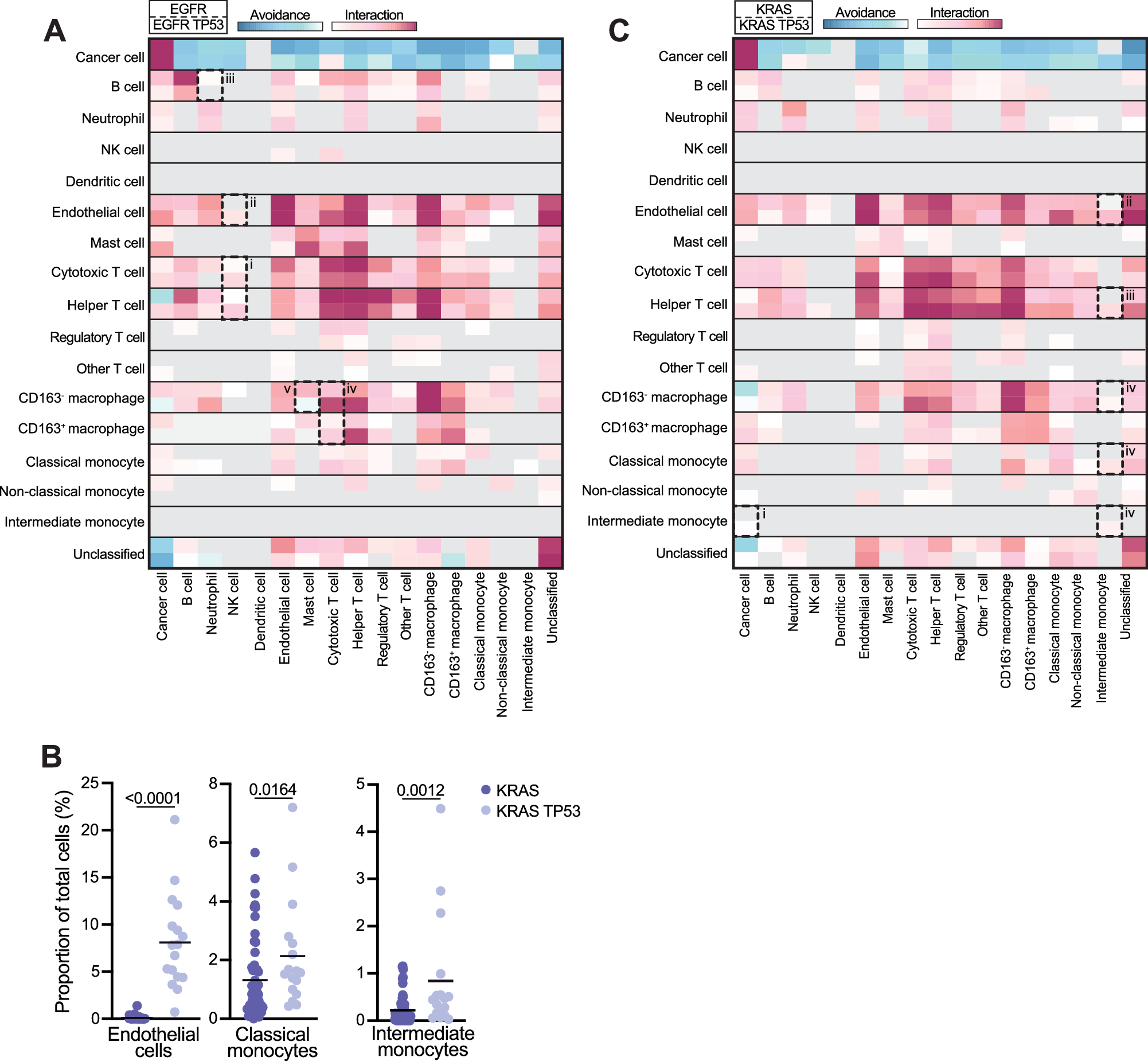 Fig. 3: TP53 co-mutations shape cell-cell interactions and avoidance patterns.