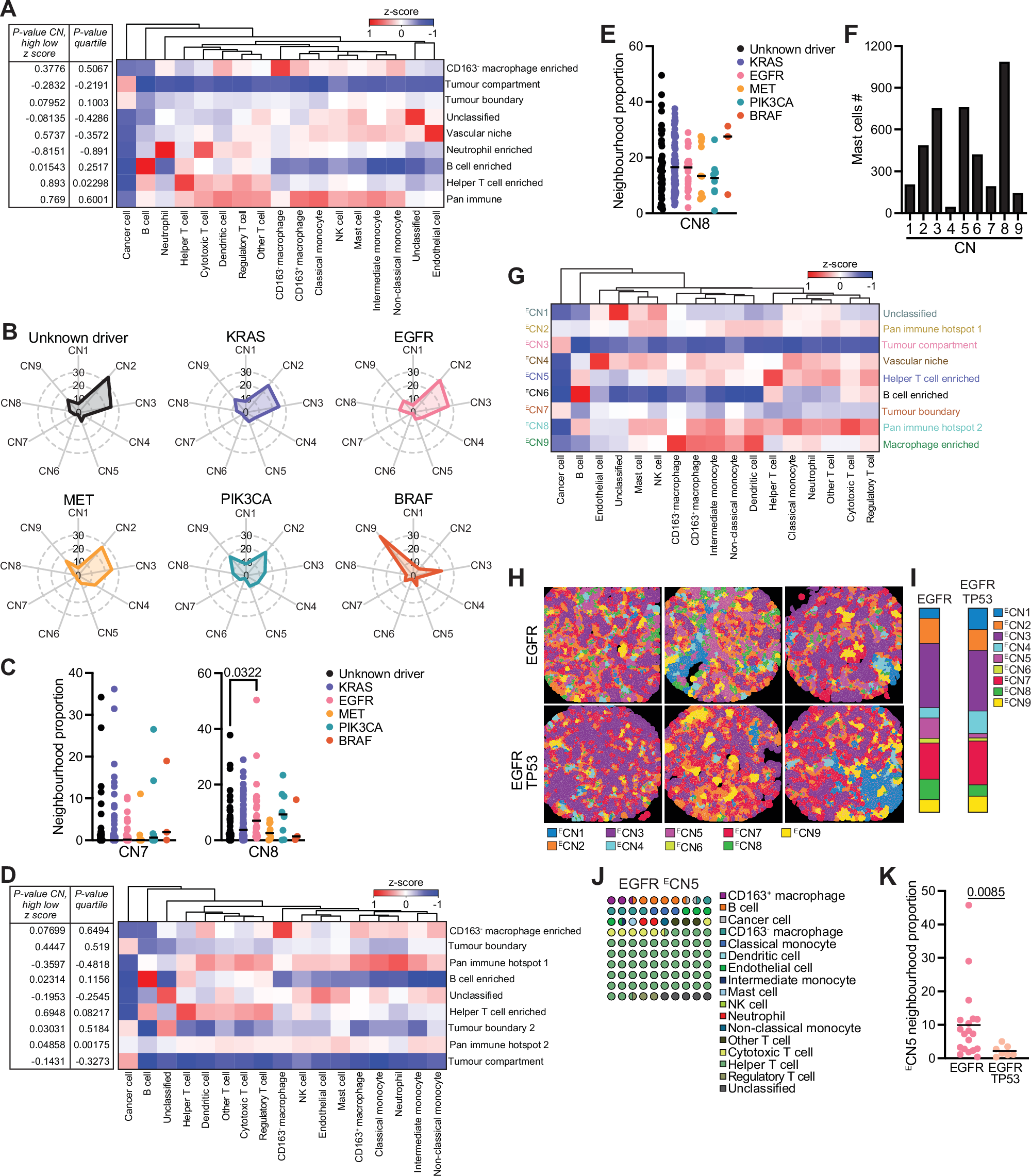 Fig. 4: KRAS and EGFR driver alterations are associated with distinct spatially resolved cellular neighbourhoods.