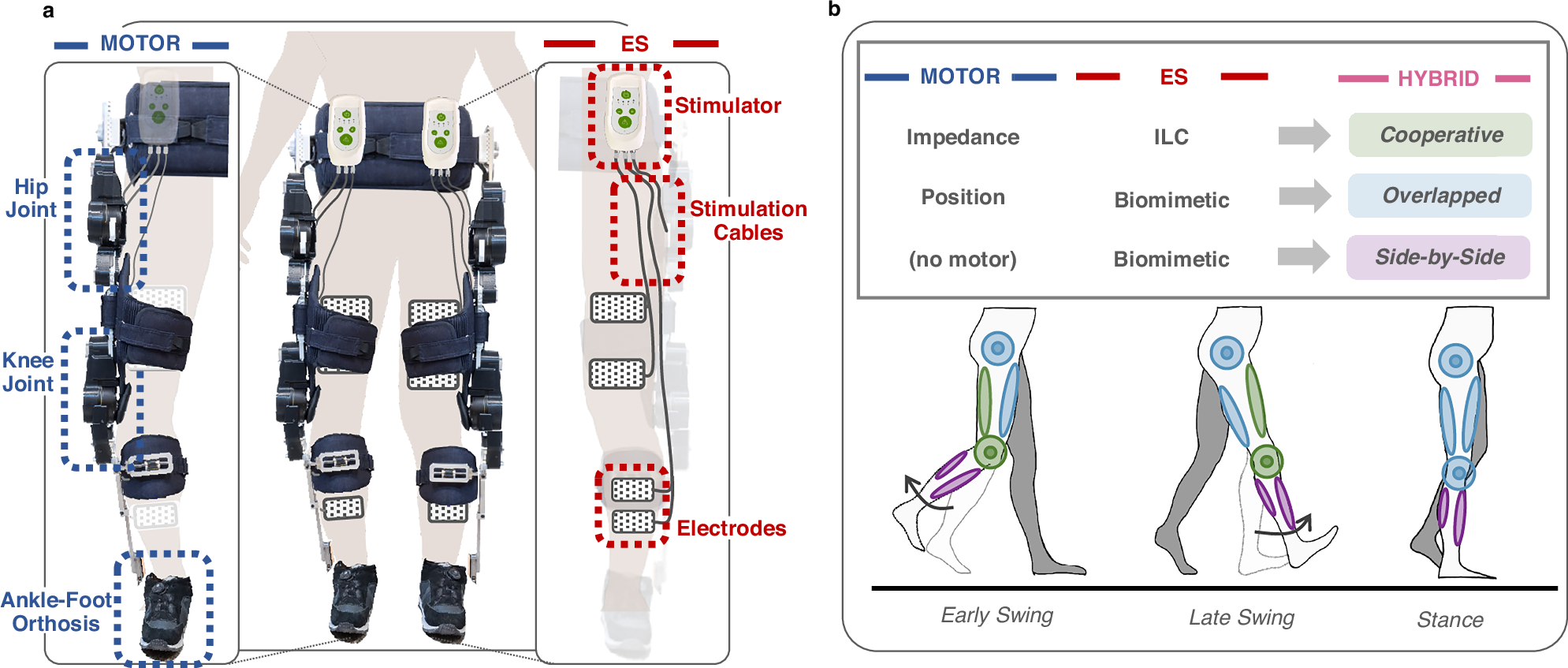 Surena F. Matin | MD Anderson Cancer Center, image size:1989x847