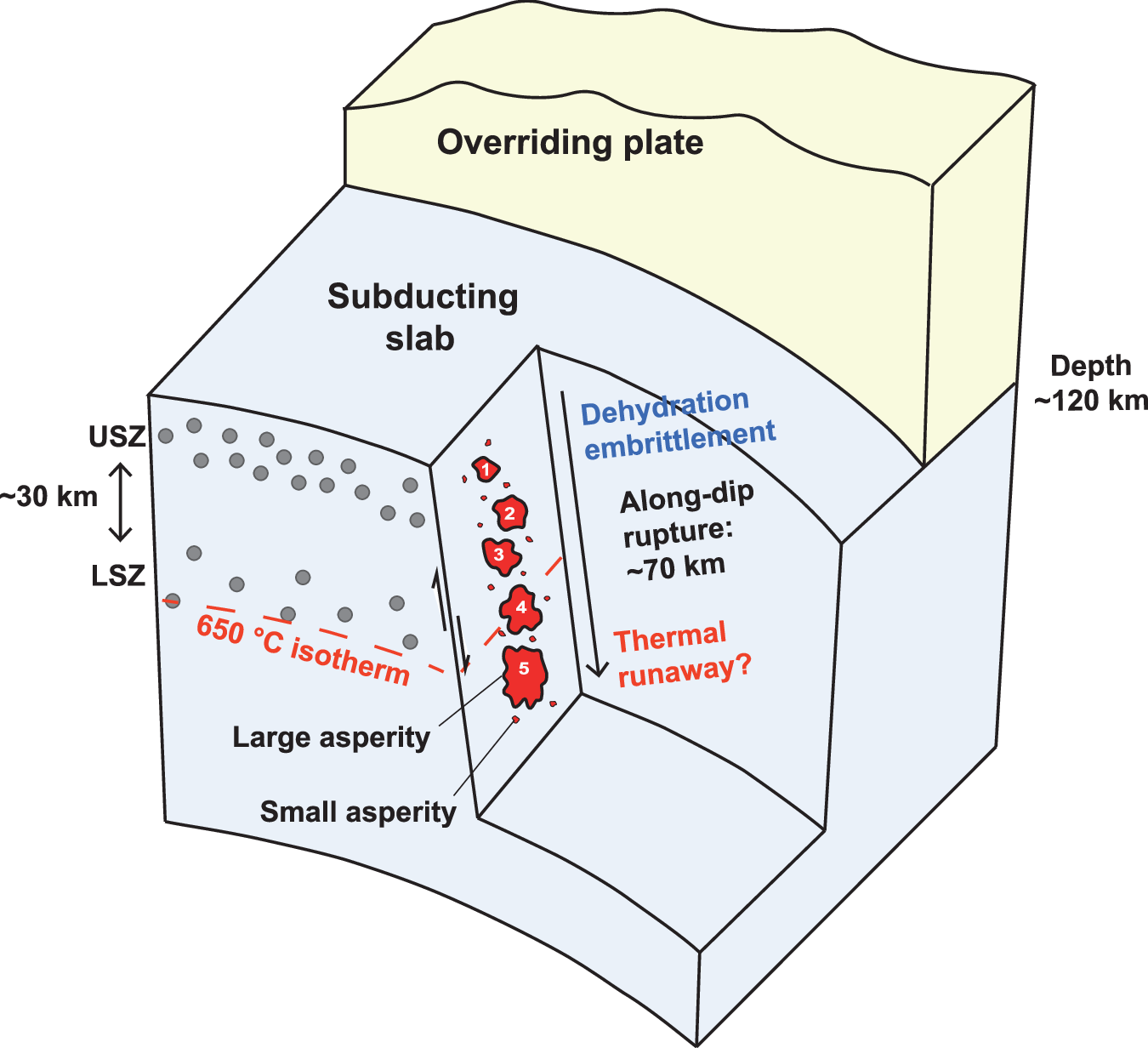 Fig. 6: Summary schematic of the intraslab rupture and mechanism transition for the Mw 7.4 event.