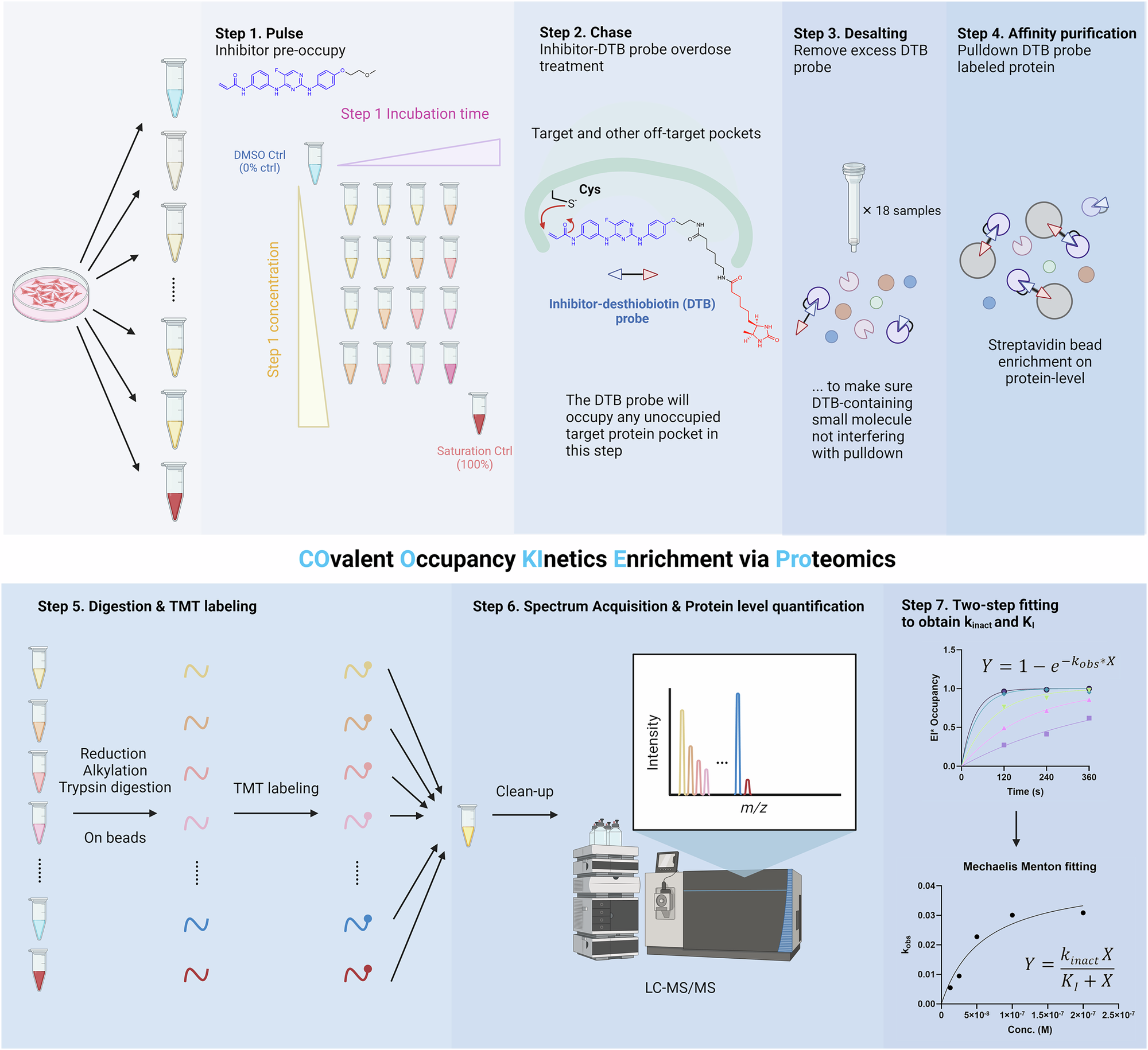 Fig. 2: Covalent Occupancy Kinetics Enrichment via Proteomics (COOKIE-Pro) workflow using spebrutinib and its desthiobiotin probe SB-2 as an example.