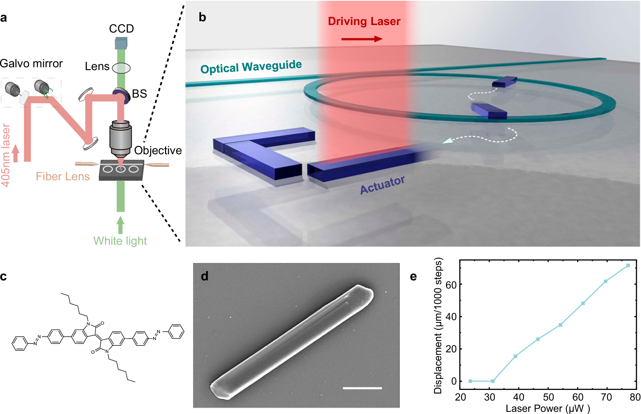 Fig. 1: Experimental setup and demonstration of organic micro-actuators.