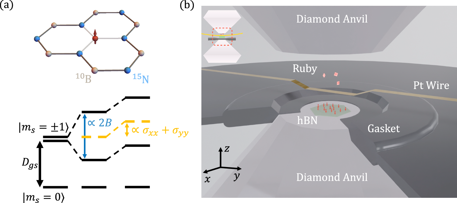 極限環境に耐える新型量子センサーを開発（New quantum sensors can withstand extreme pressure）