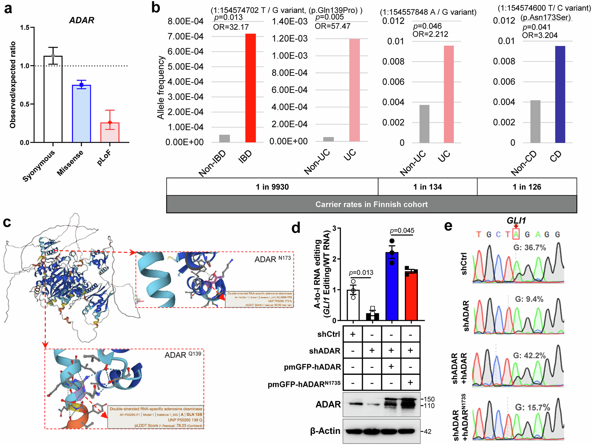 Fig. 1: Identification of ADARN173S as a loss function mutation that correlated with IBD incidence in patients.