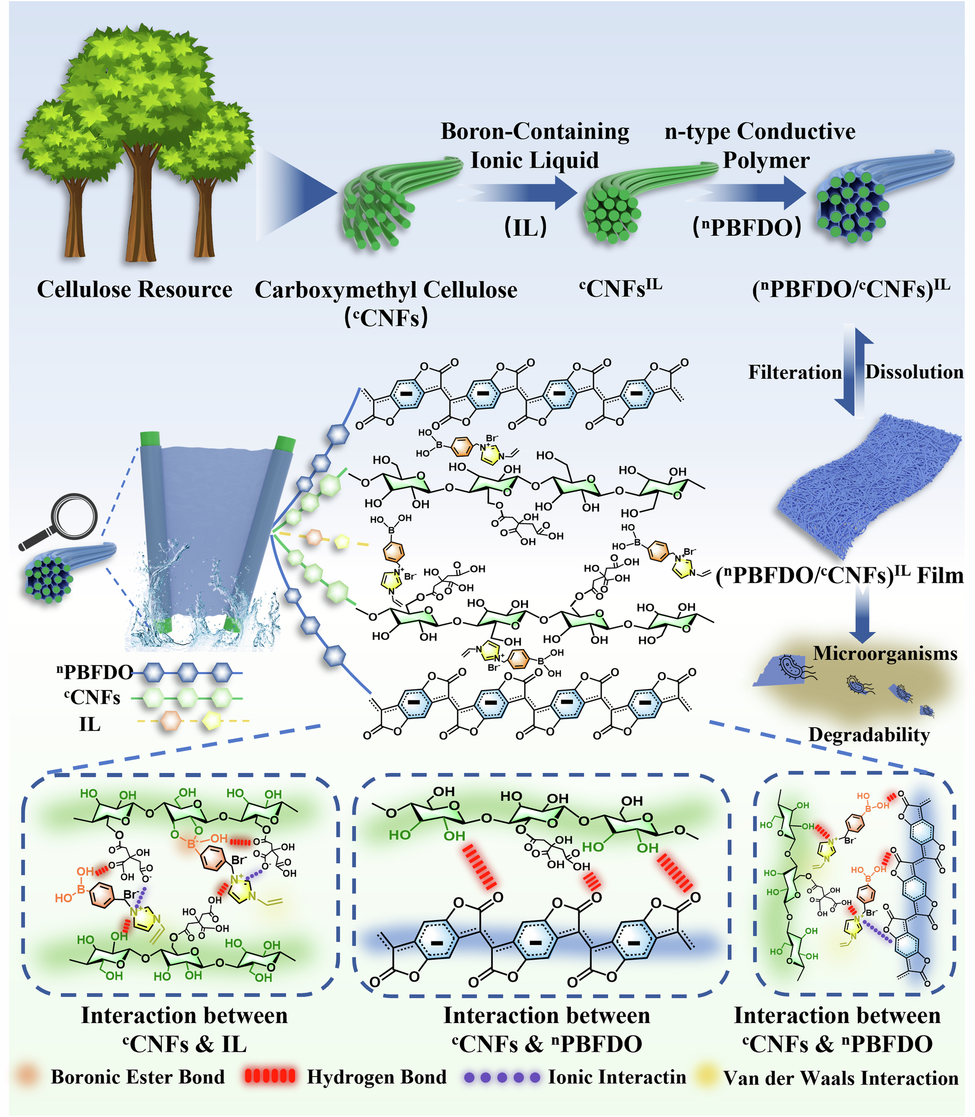 Sustainable electromagnetic interference shielding materials from  cellulose-grafted n-type polymers | Nature Communications