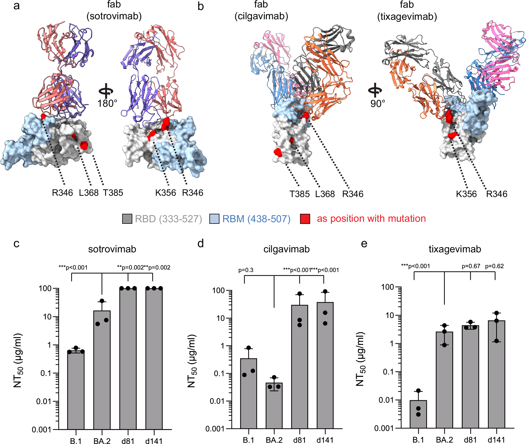Fig. 3: Sensitivity of patient isolates to SARS-CoV-2 specific monoclonal antibodies.