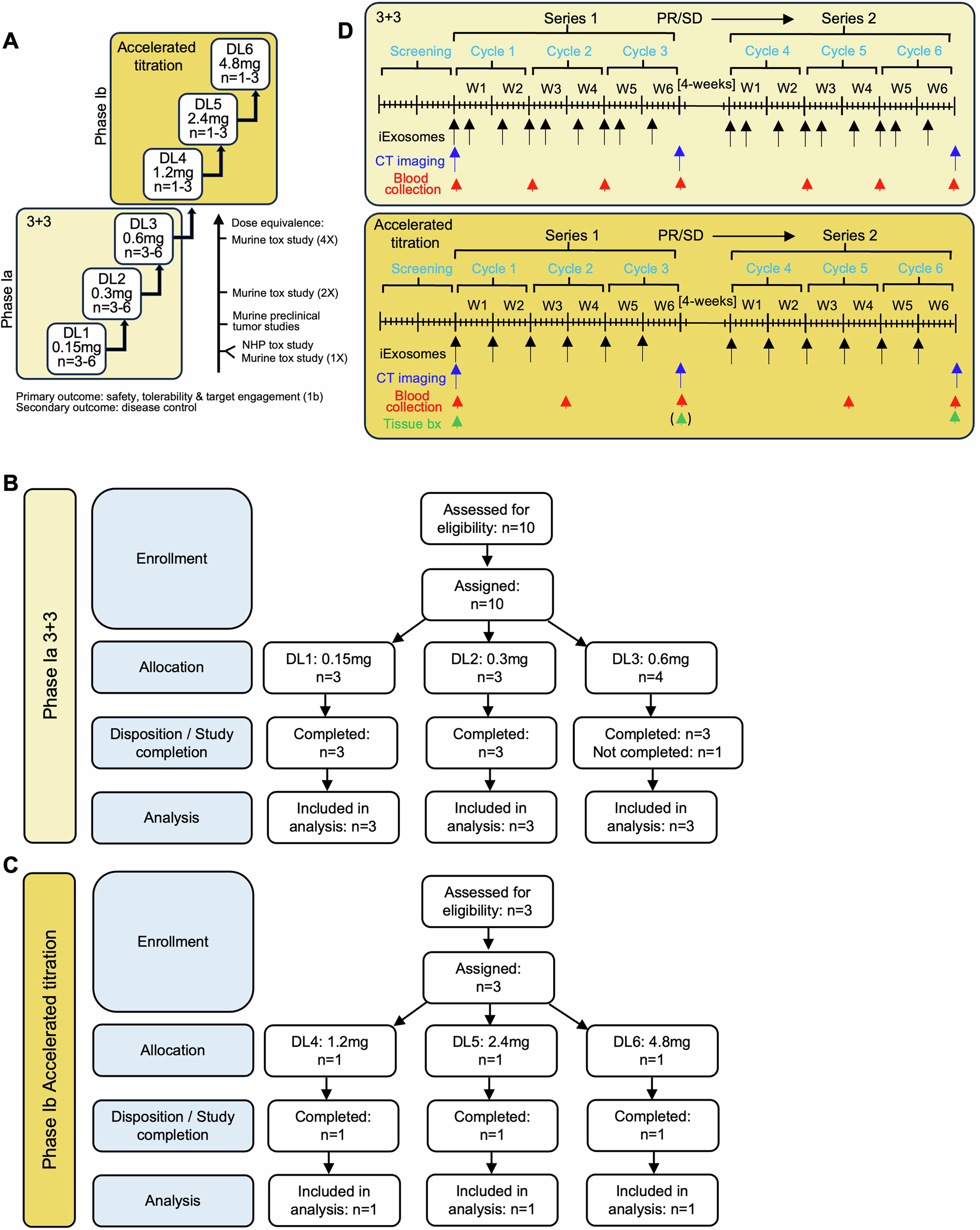 Fig. 2: GMP iExoKrasG12D clinical trial design.