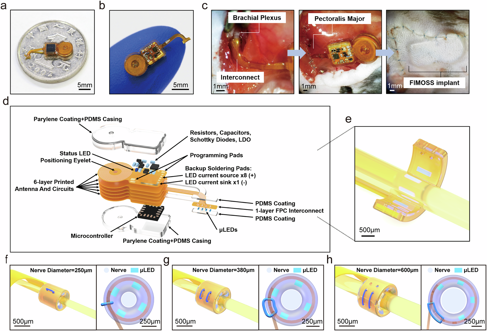 Fig. 2: Design and structure of FIMOSS implant for long-term multisite optogenetic stimulation.