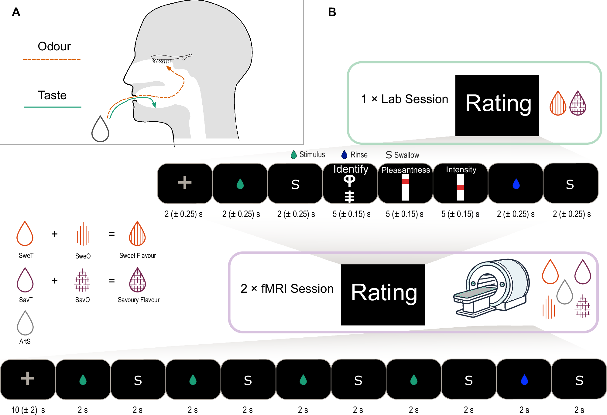 香りが脳で「味」として認識されるメカニズムを解明(Smells deceive the brain – are interpreted as taste)