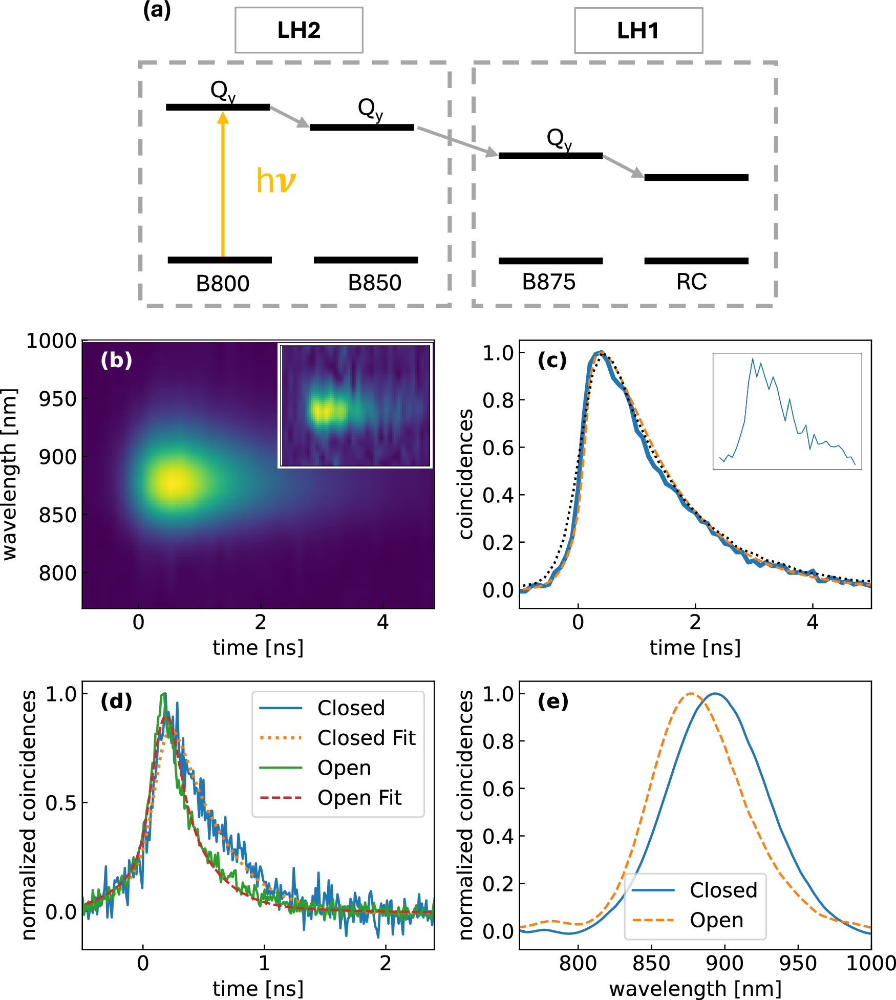 Fig. 4: Time- and frequency-resolved fluorescence spectroscopy of photosynthetic membranes at the single-photon level.