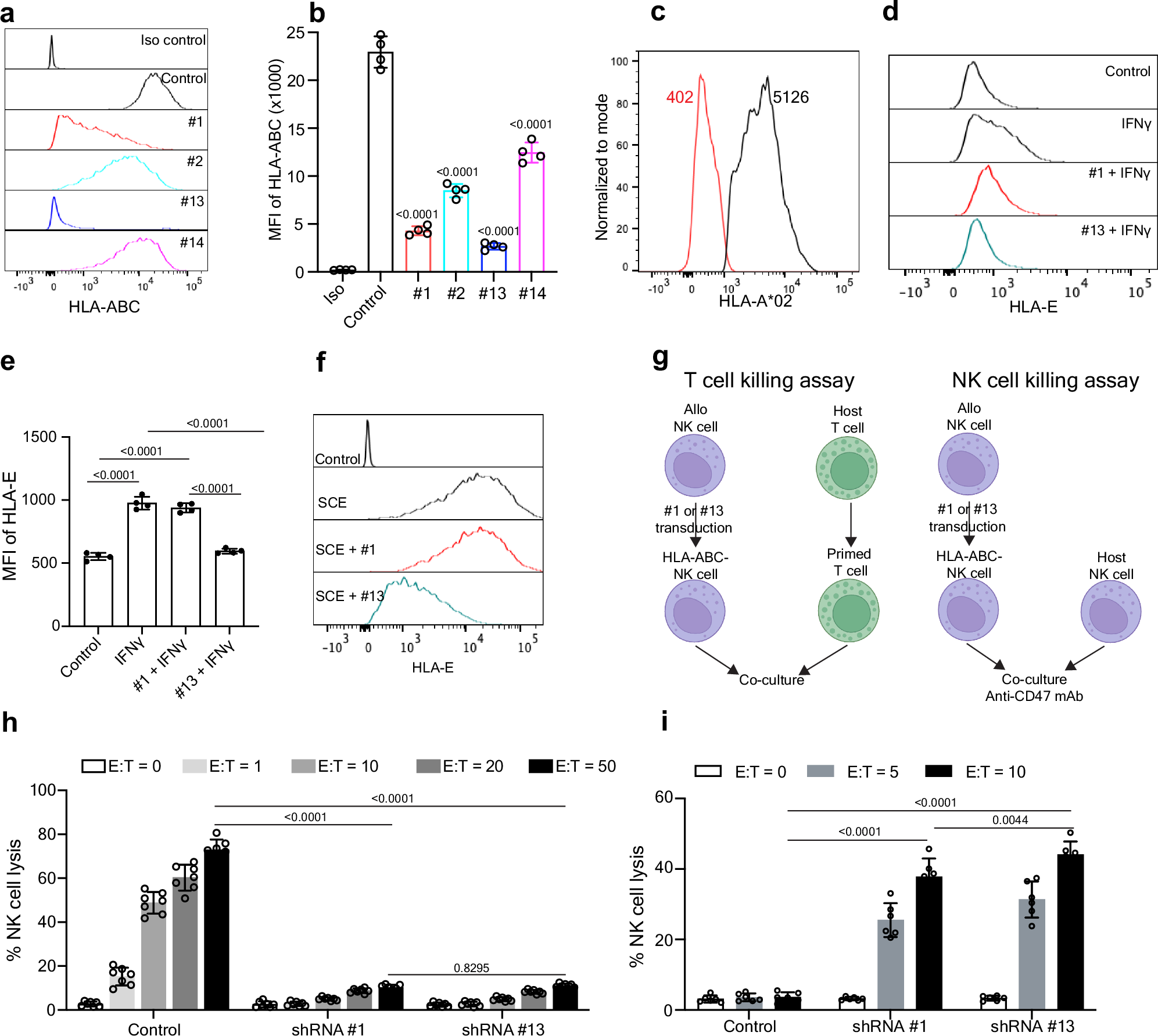 改良されたCAR-NK細胞ががん治療の新たな武器に(Engineered natural killer cells could help fight cancer)