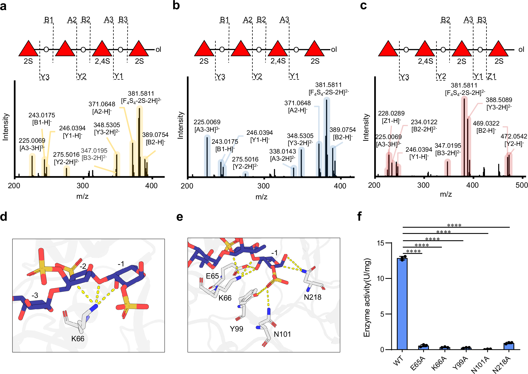 Fig. 2: The specificity of the −1 subsite of the GH168 family.