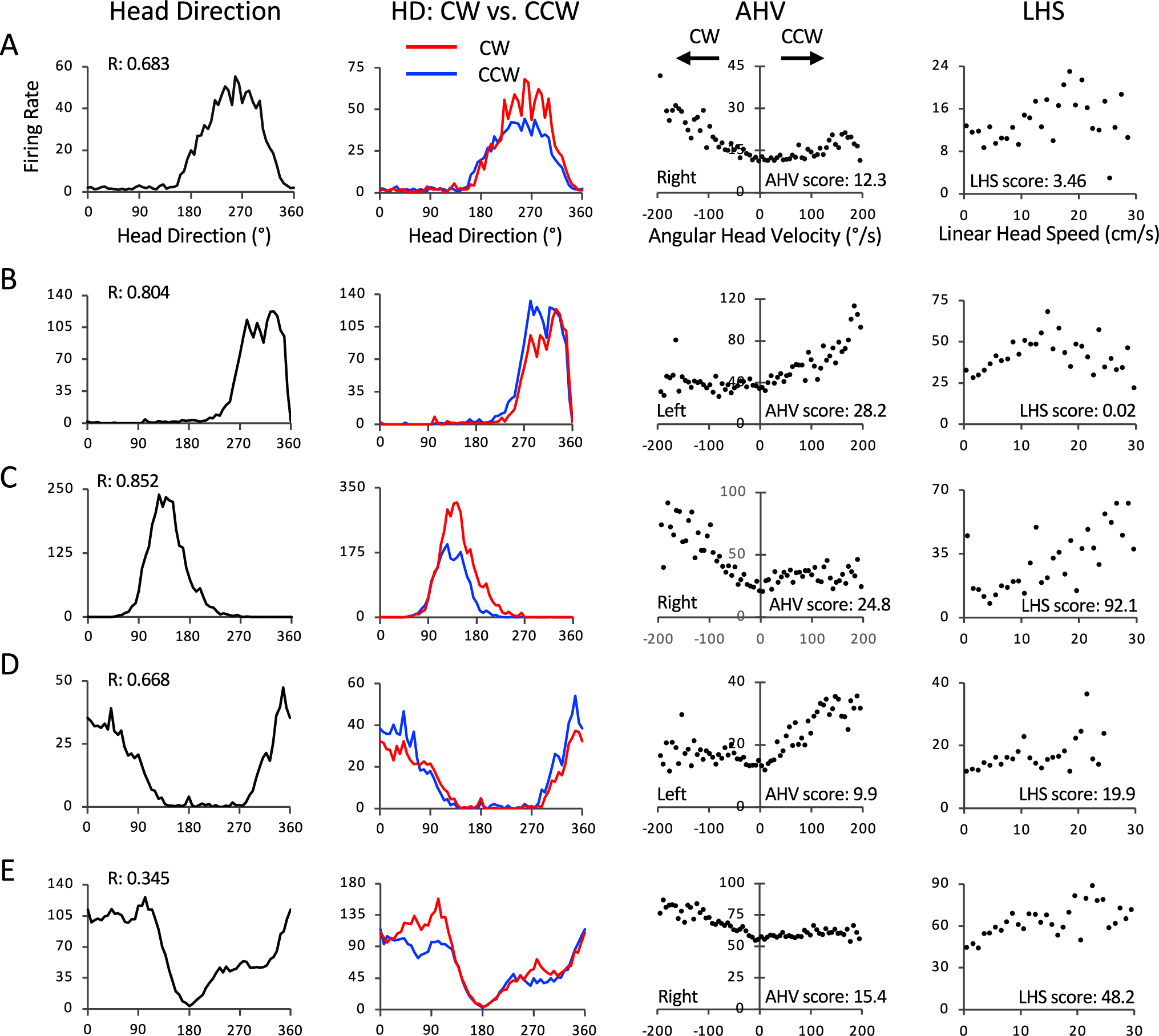 Fig. 3: LMN asymmetric-unresponsive HD + AHV cells.
