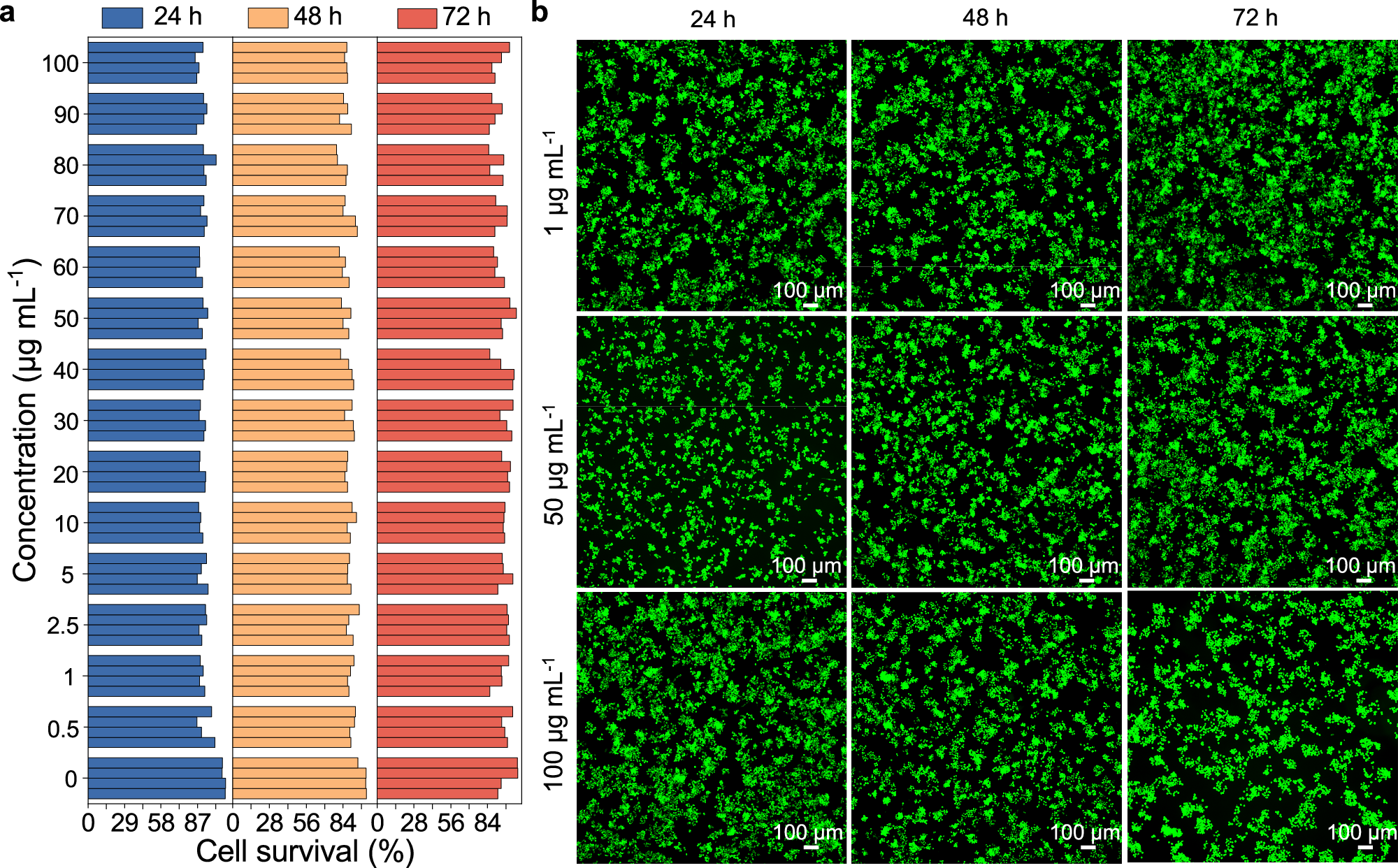 Fig. 7: Biocompatibility assessment of MgO/MgF2:Cr3+ in RAW264.7 macrophage cells.