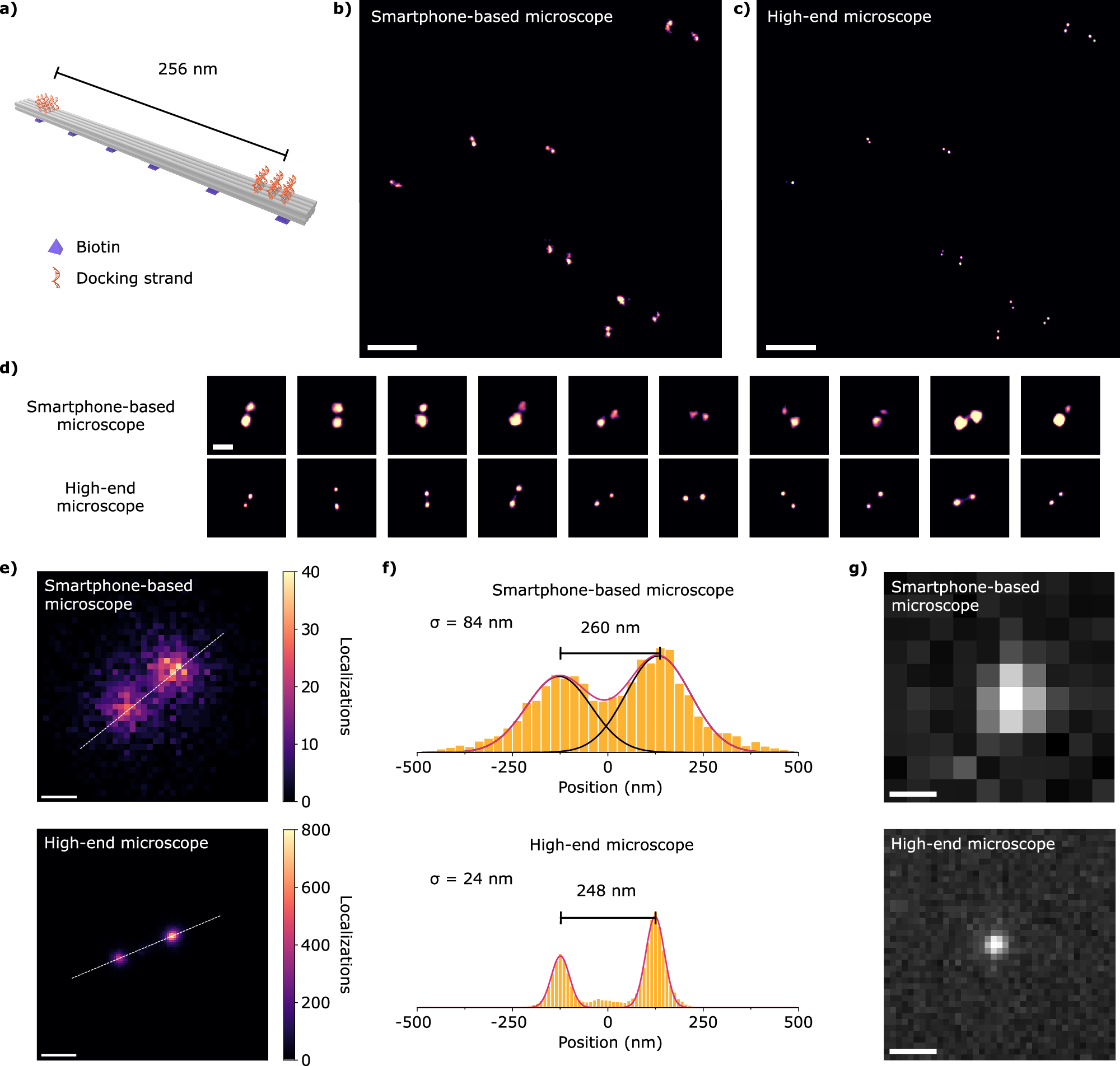 Fig. 3: DNA-PAINT with the smartphone-based microscope.